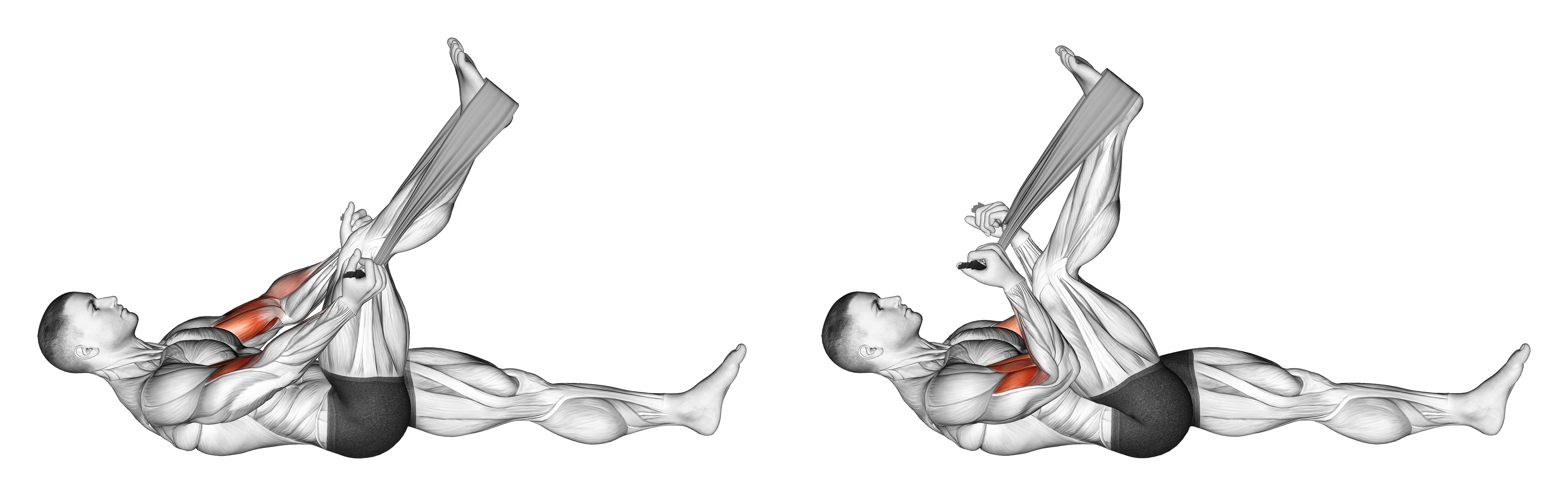 Lying Biceps Curl With Towel