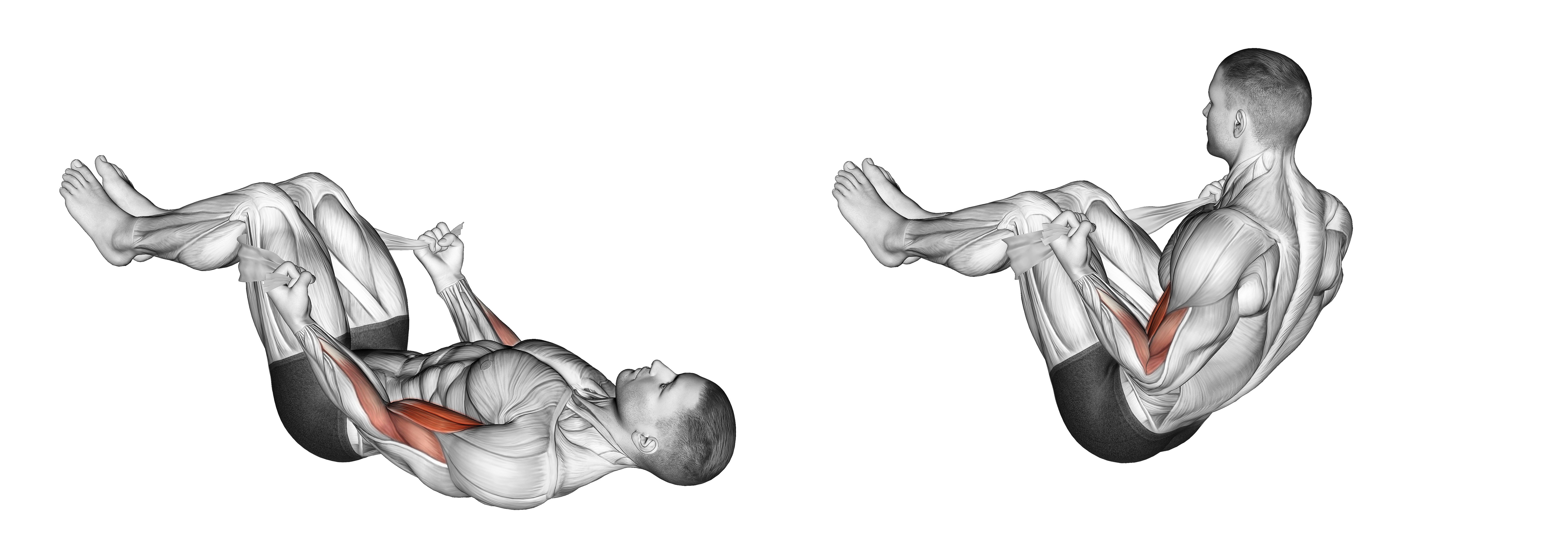 Lying Double Legs Biceps Curl With Towel