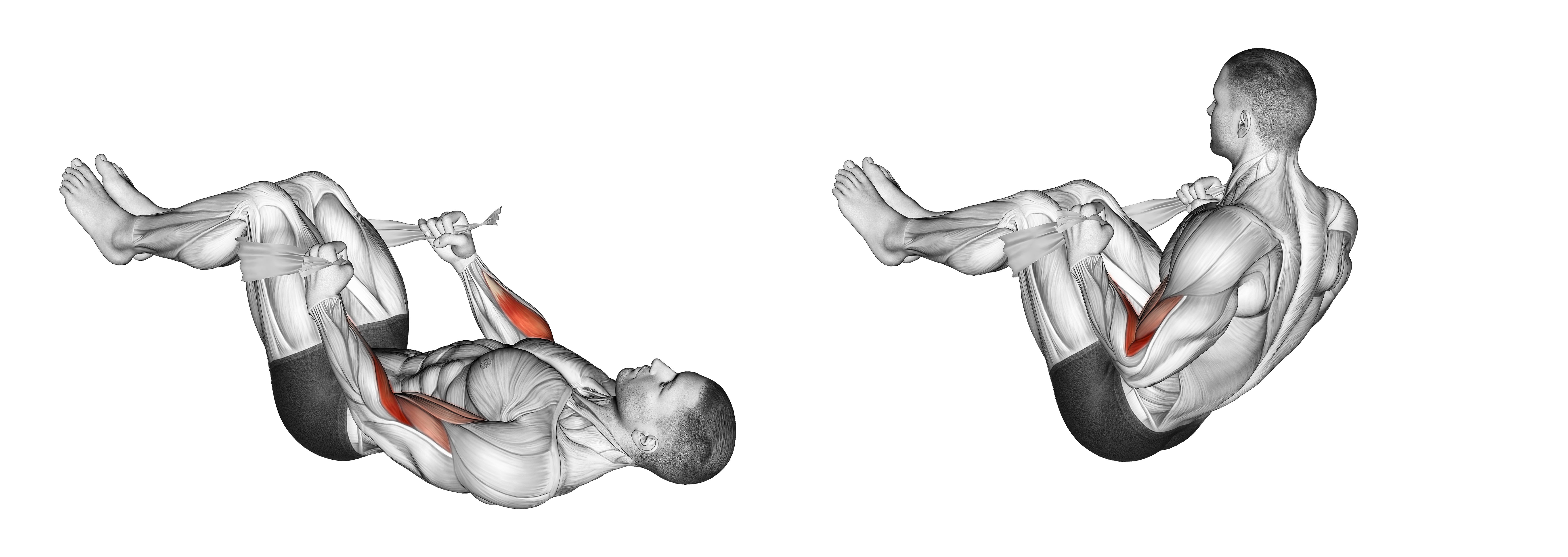 Lying Double Legs Hammer Curl With Towel