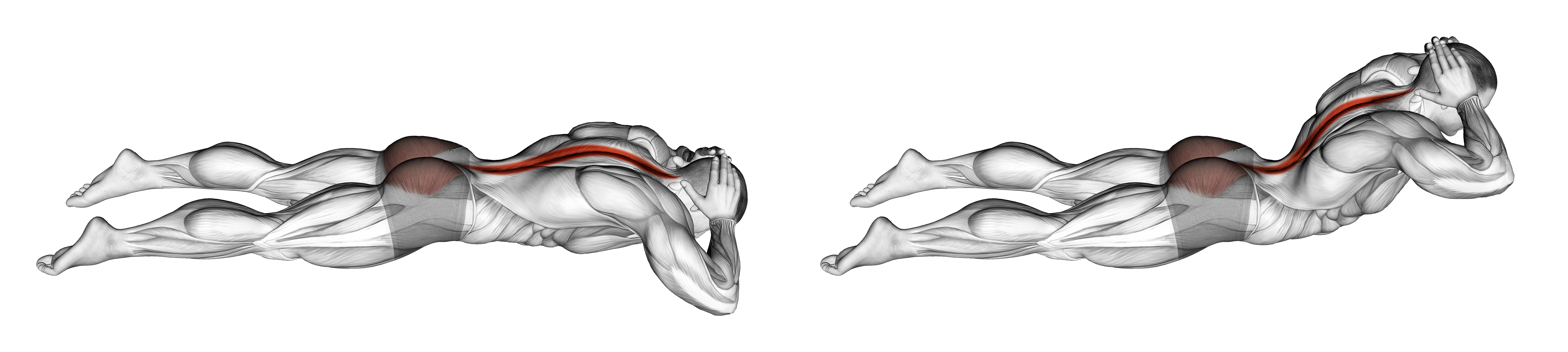 Lying Floor Hyperextension