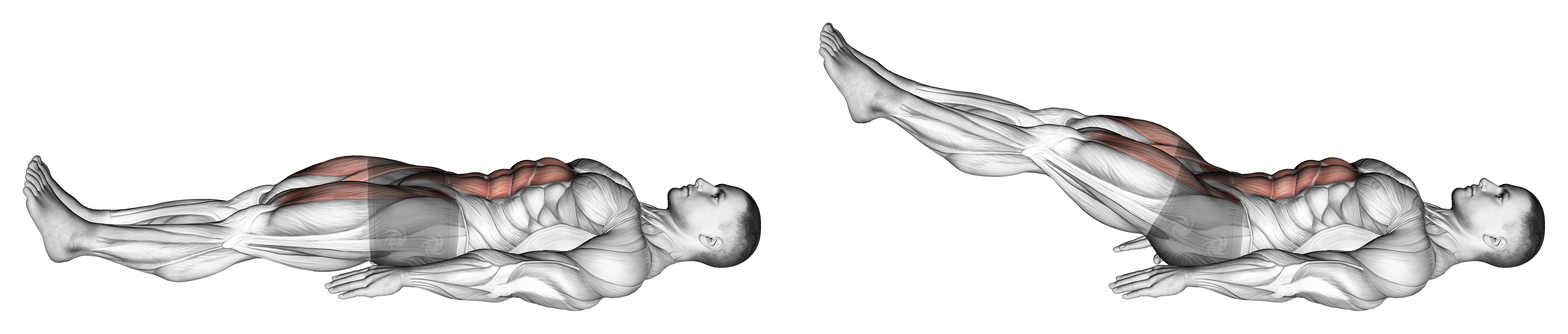 Lying Leg Raise And Hold