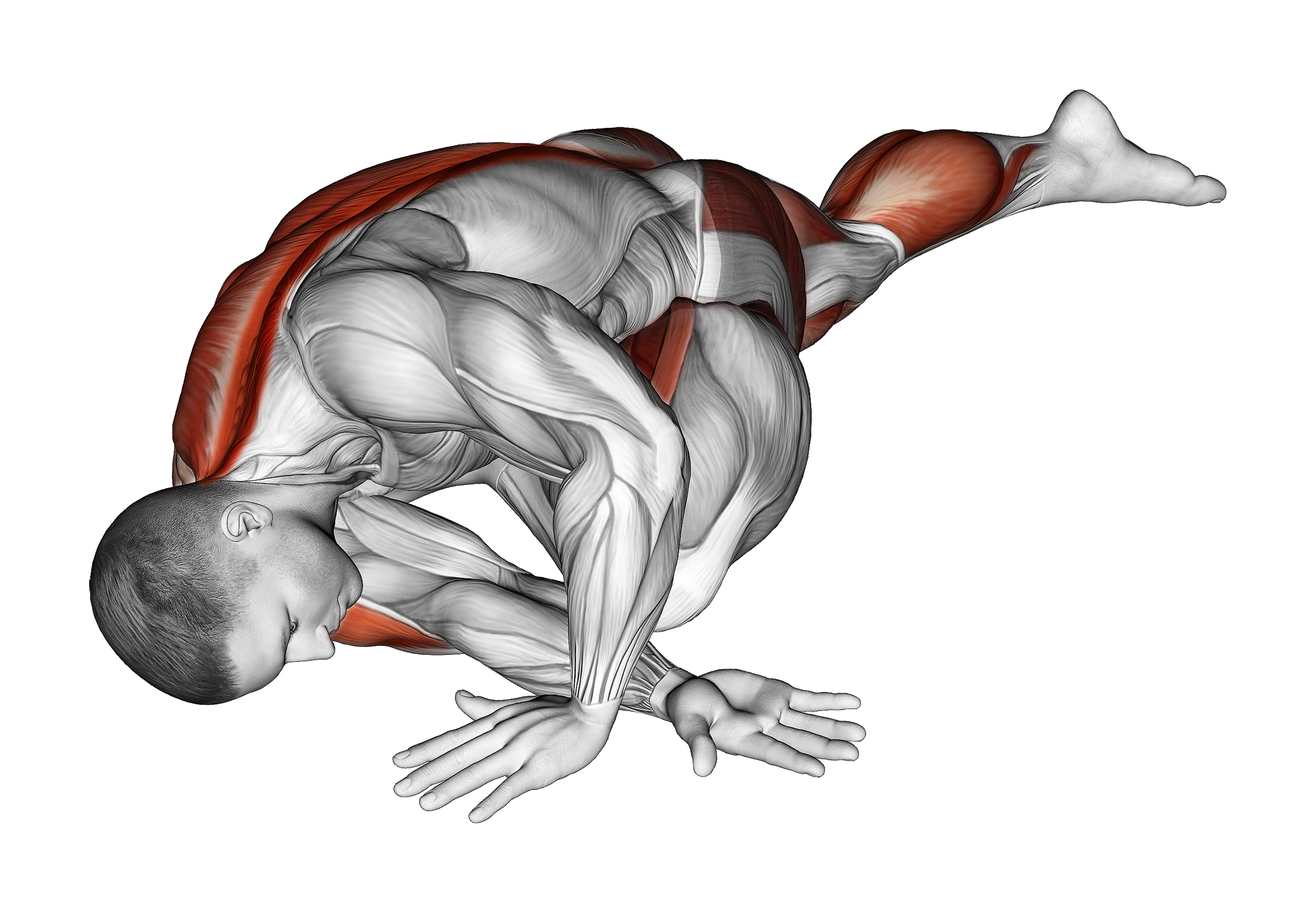Lying Leg Tuck Hip Back Stretch