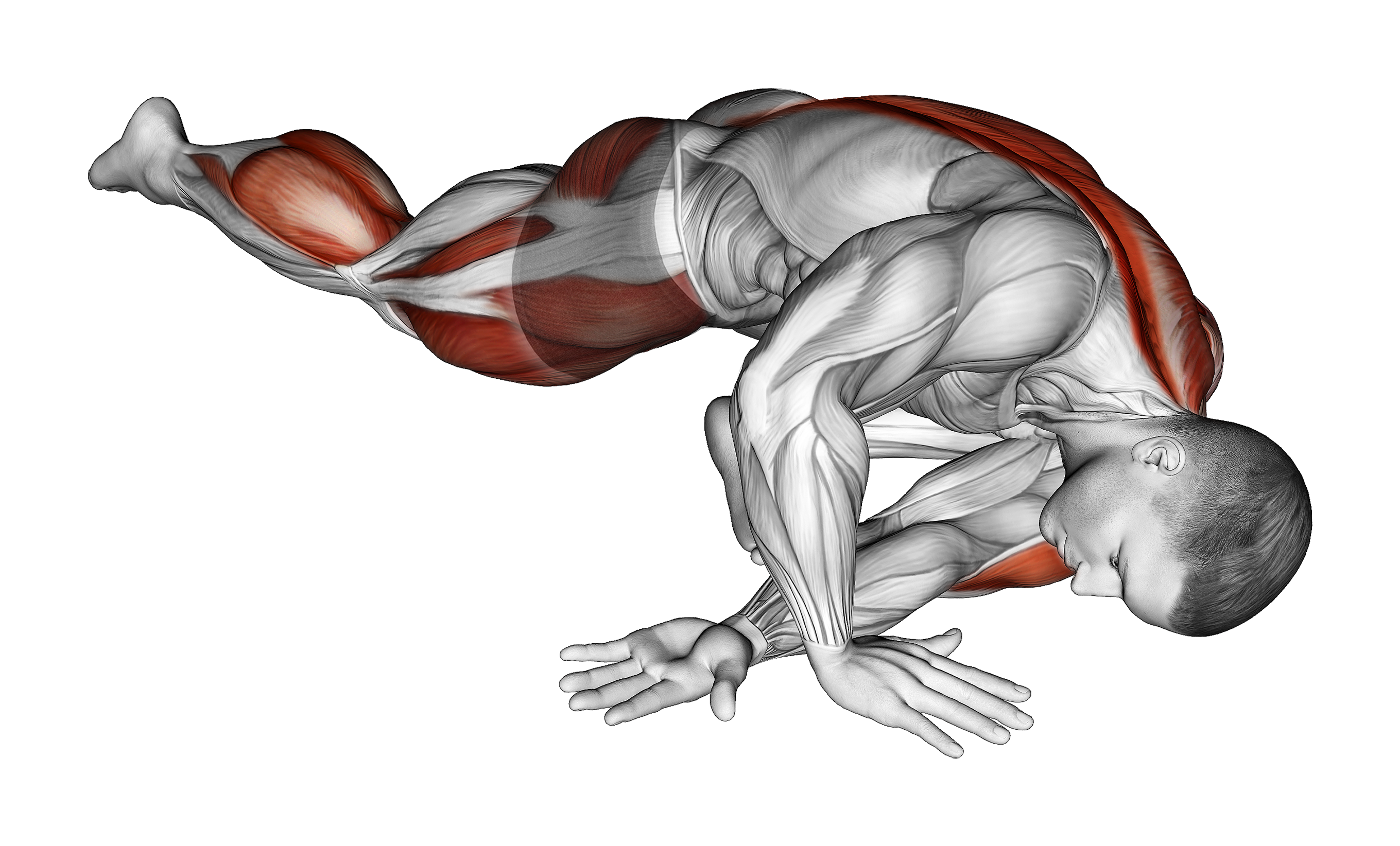 Lying Leg Tuck Hip Back To Right Stretch