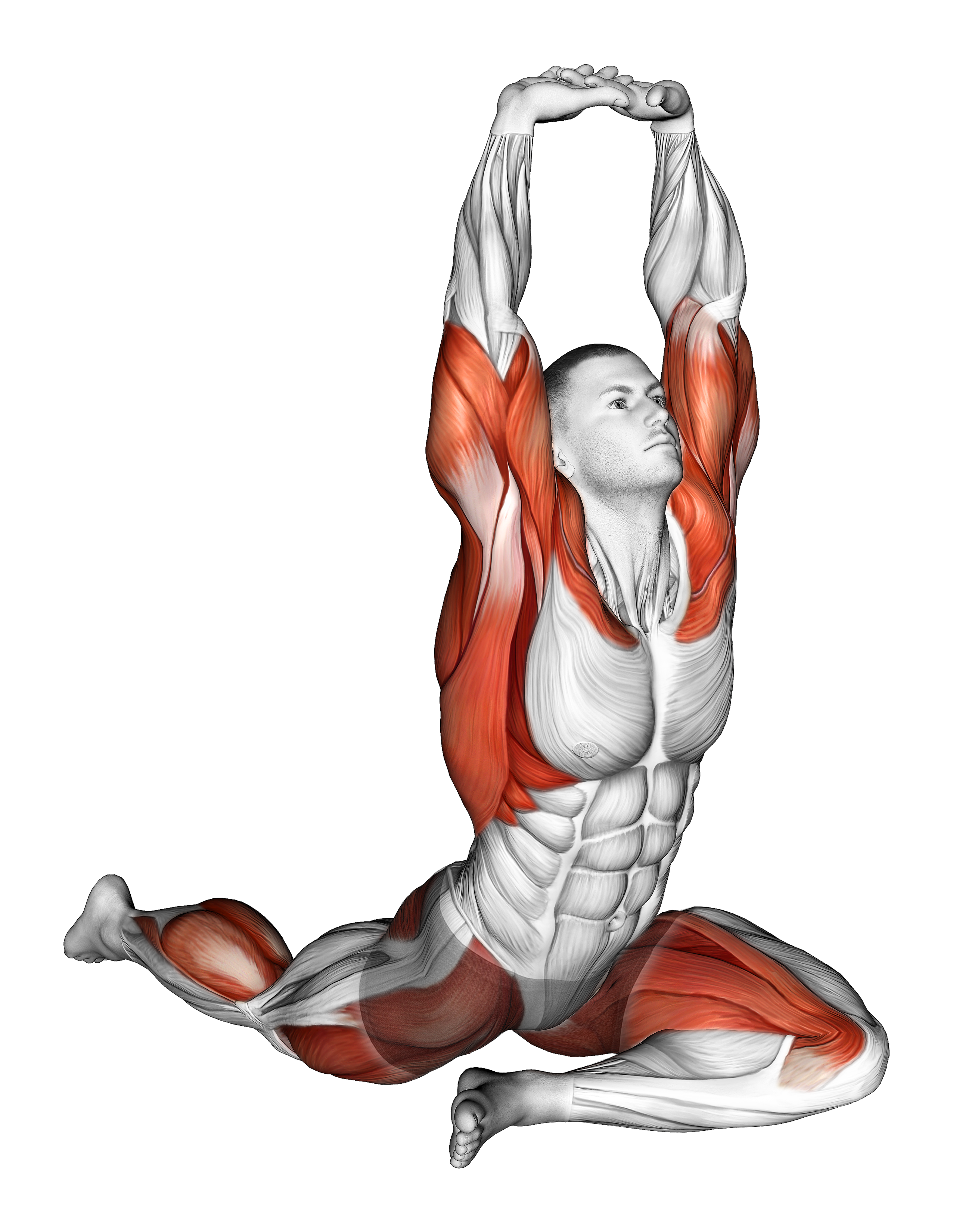Lying Leg Tuck Hip Stretch Wth Overhead Hands