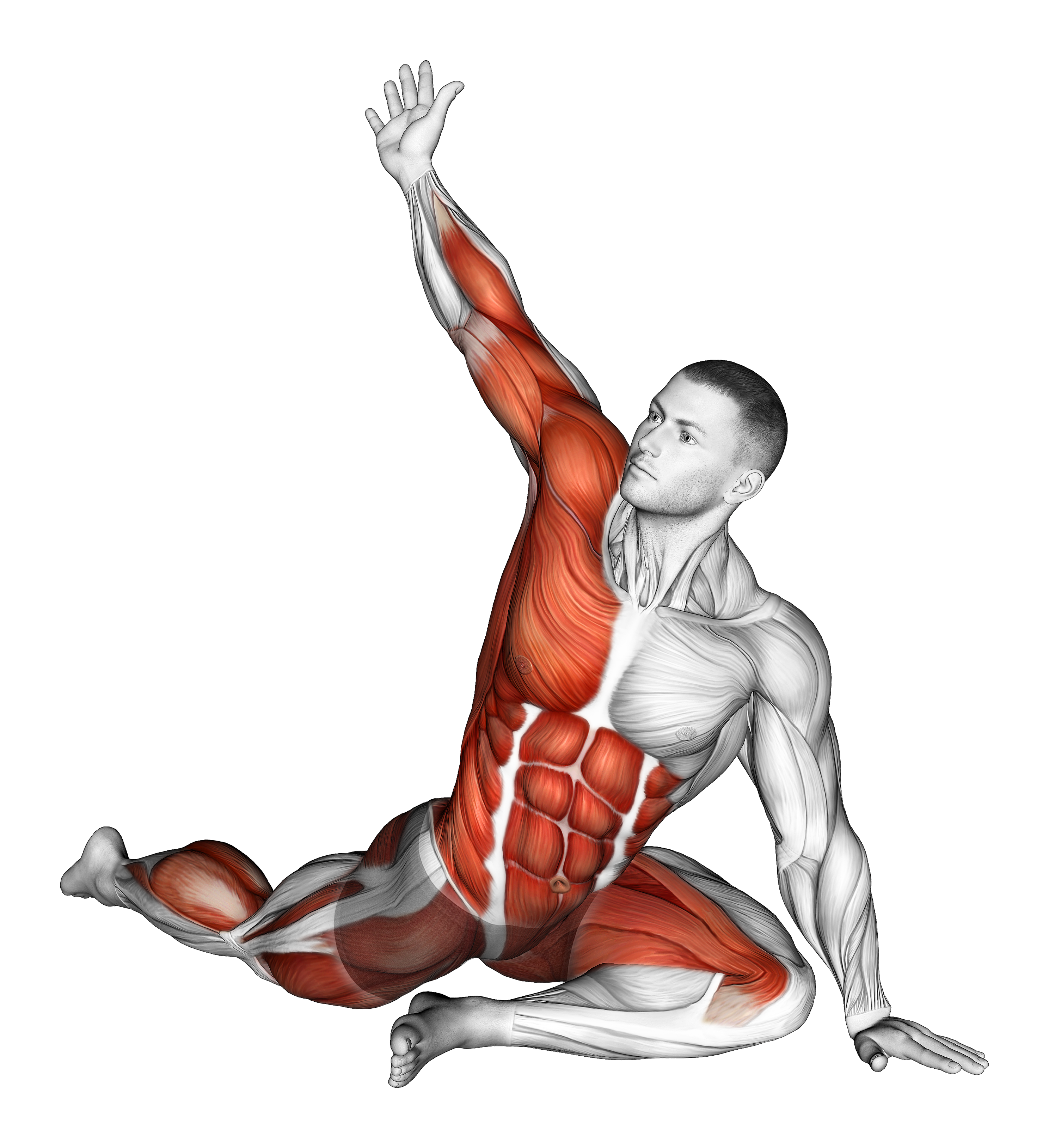 Lying Leg Tuck Hip Twist Stretch