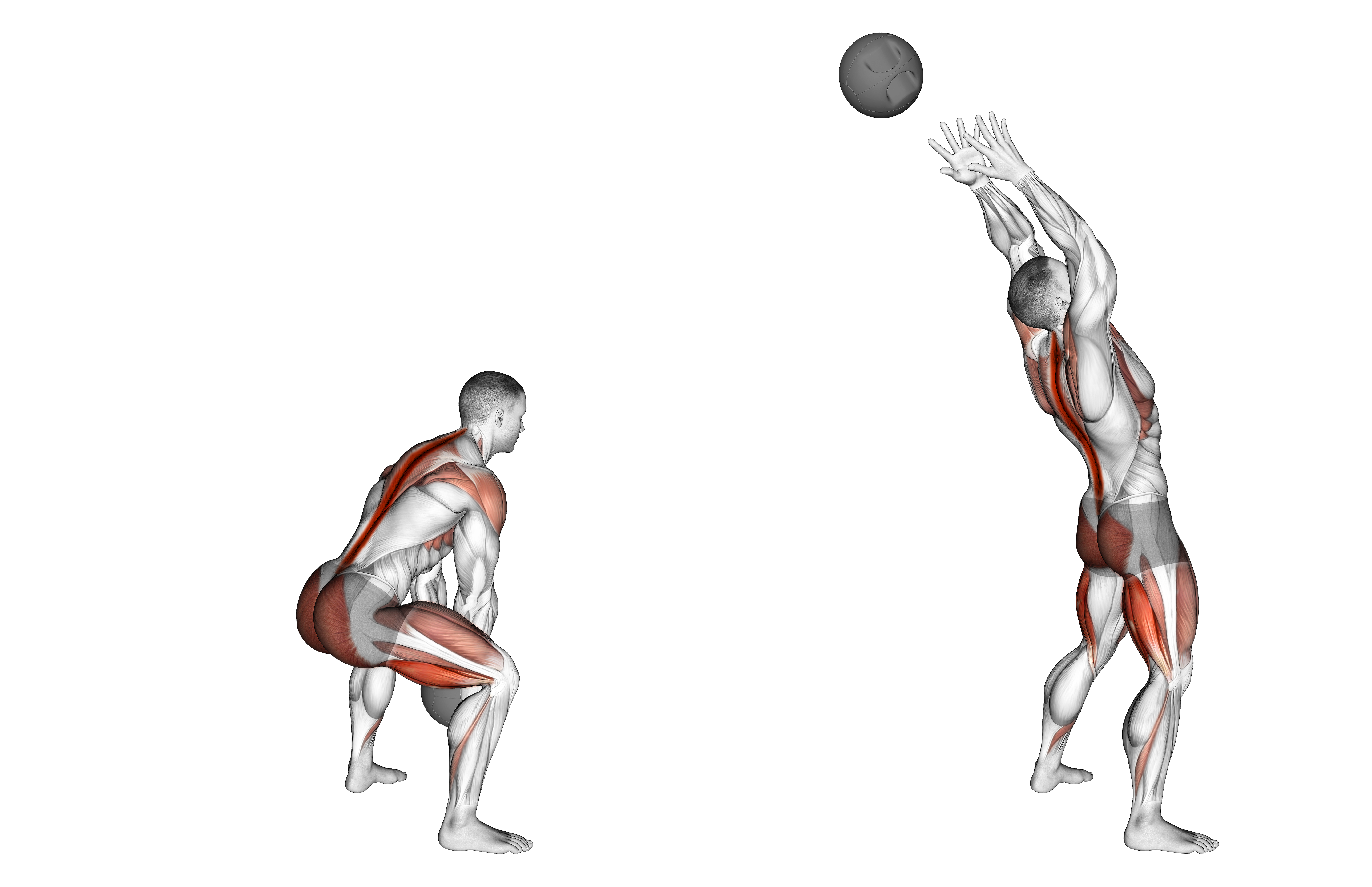 Medicine Ball Backward Throw
