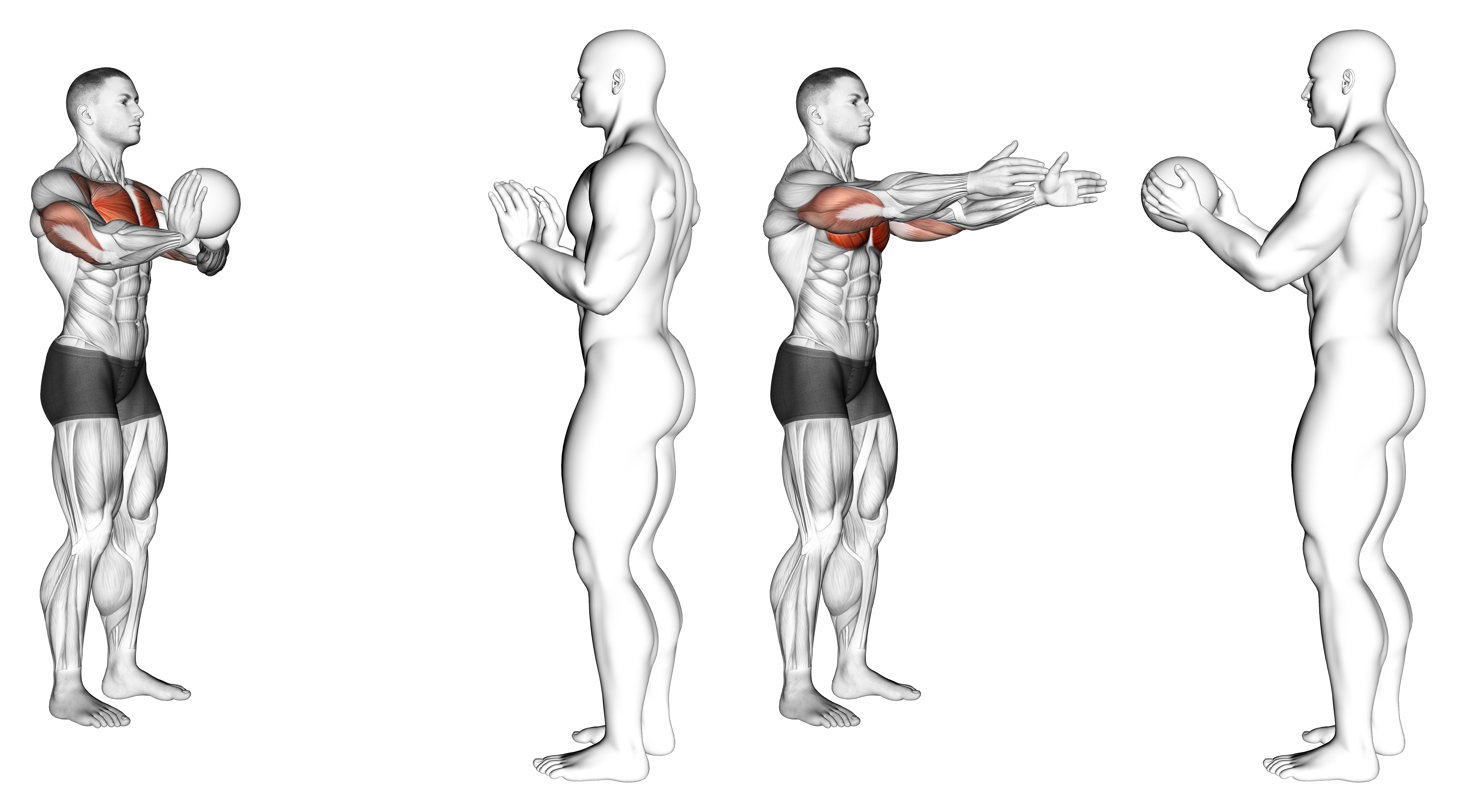 Medicine Ball Chest Pass