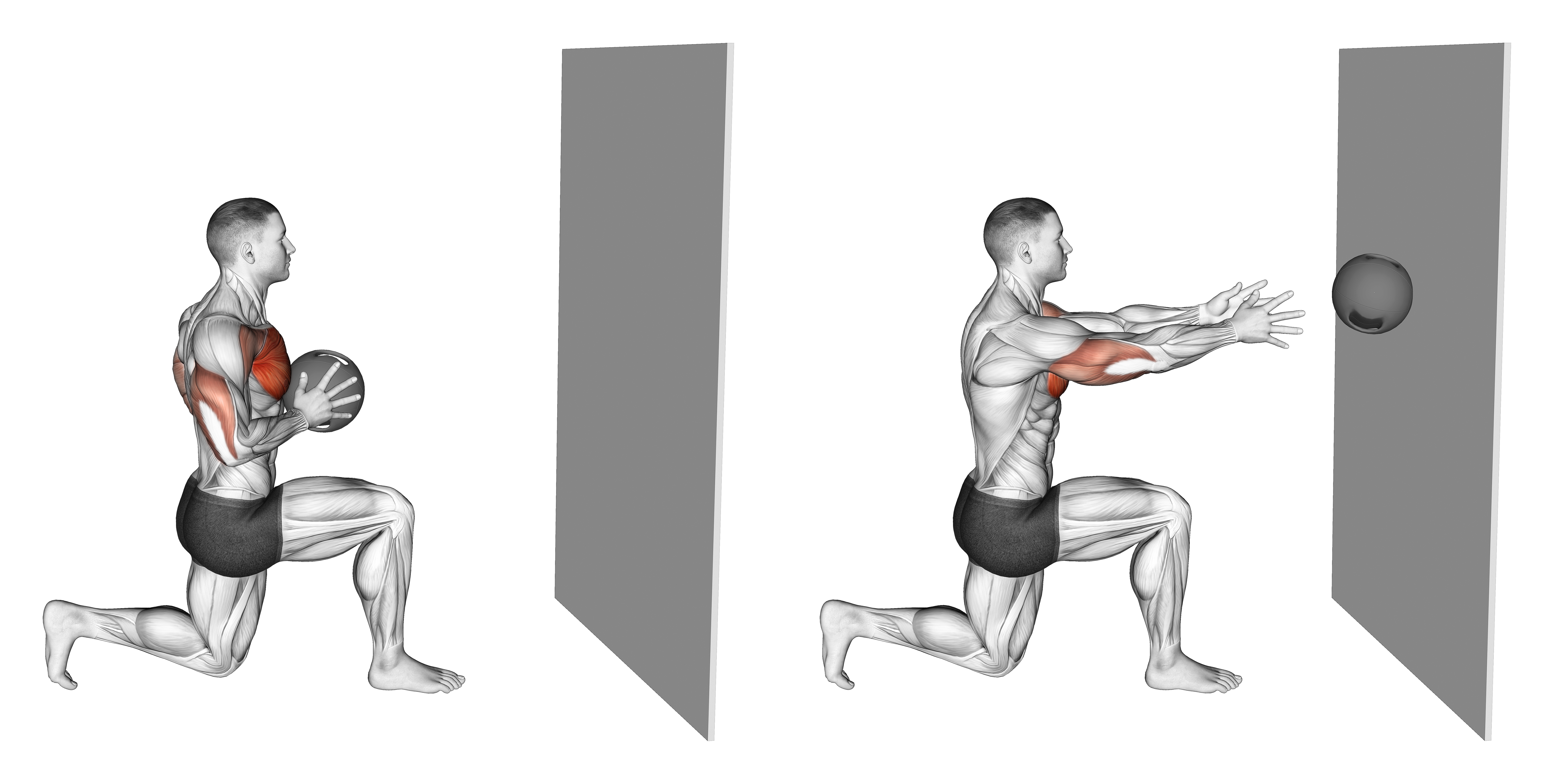 Medicine Ball Half Kneeling Chest Push