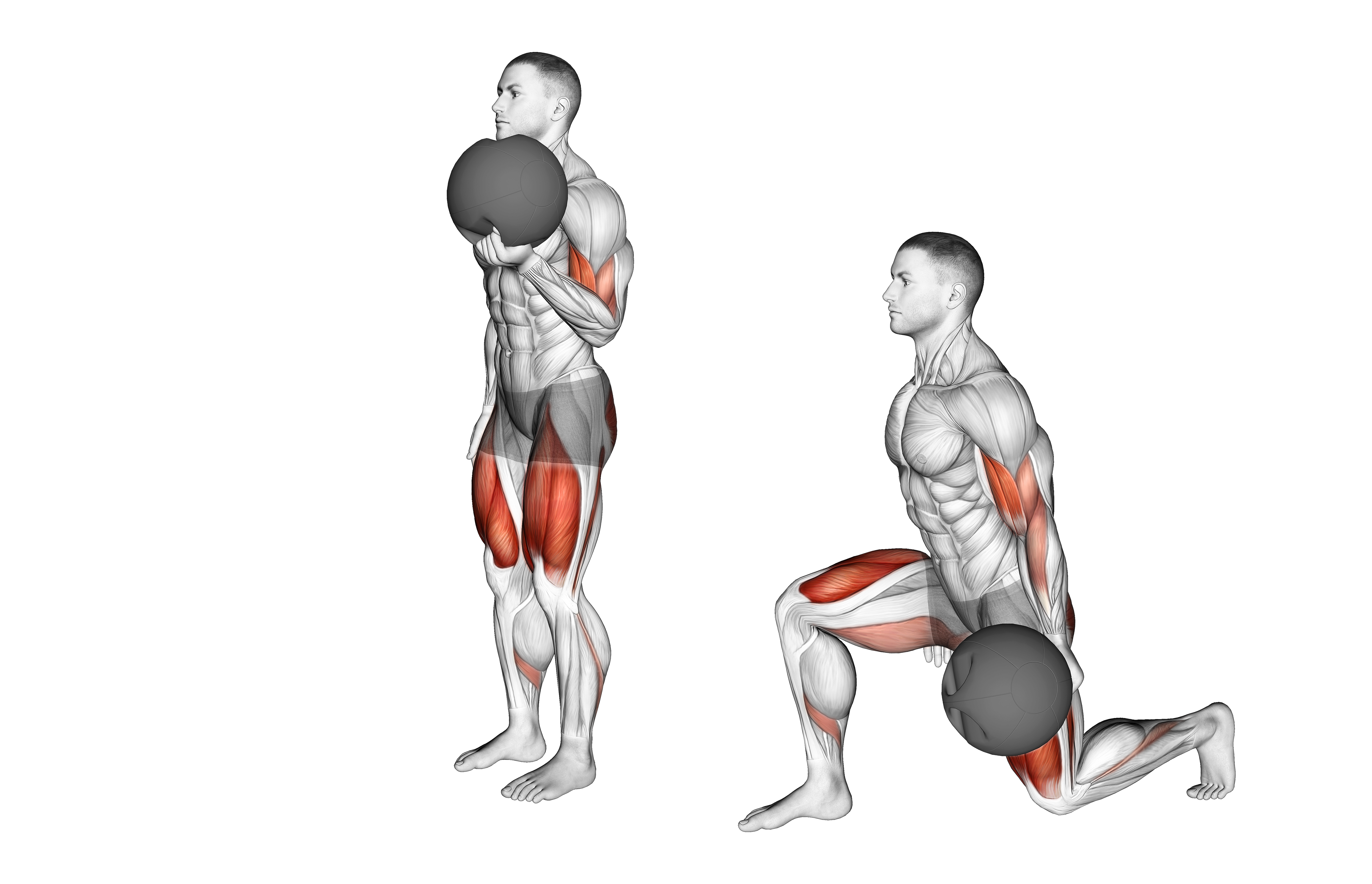 Medicine Ball Lunge With Biceps Curl
