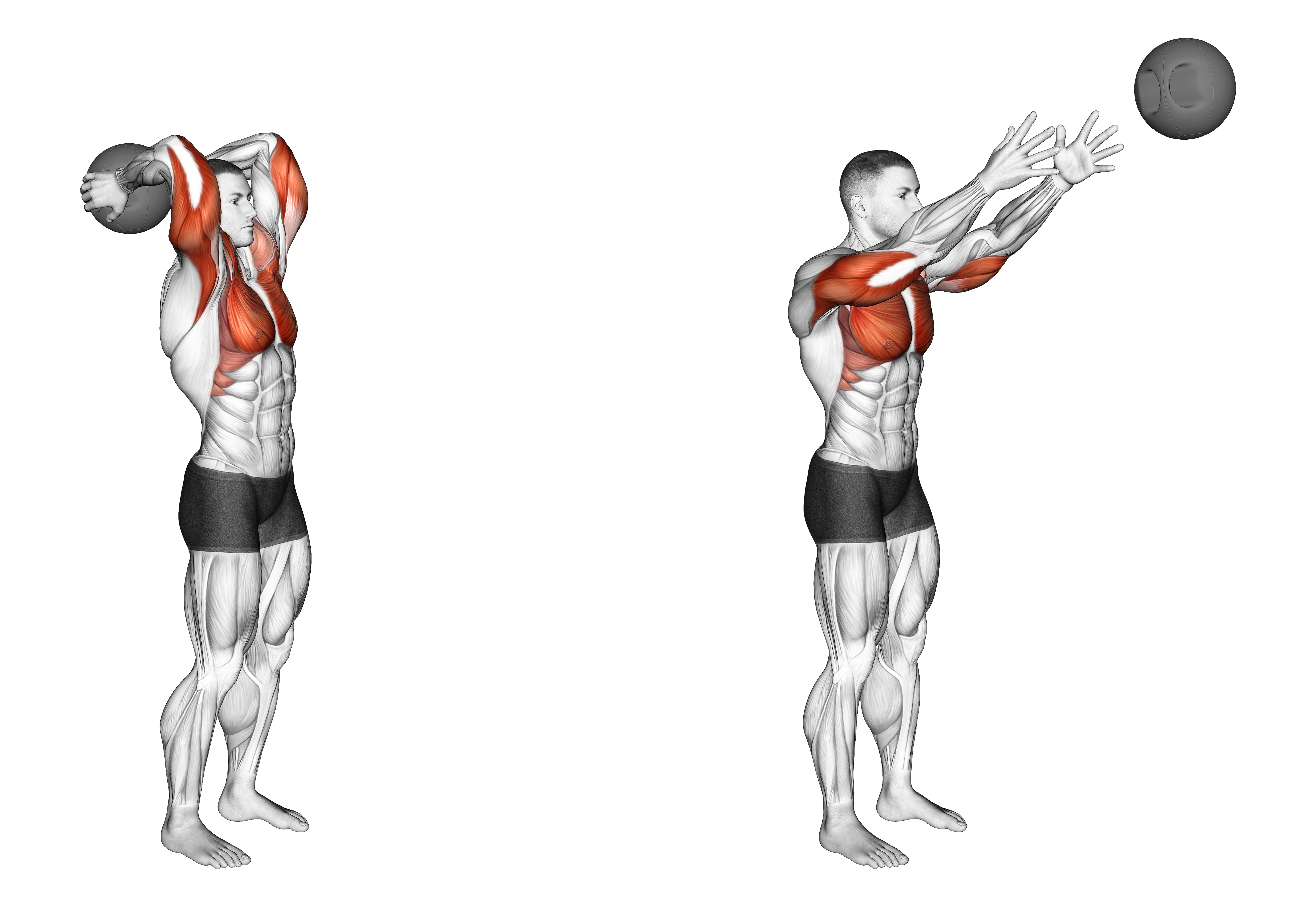 Medicine Ball Standing Overhead Throw