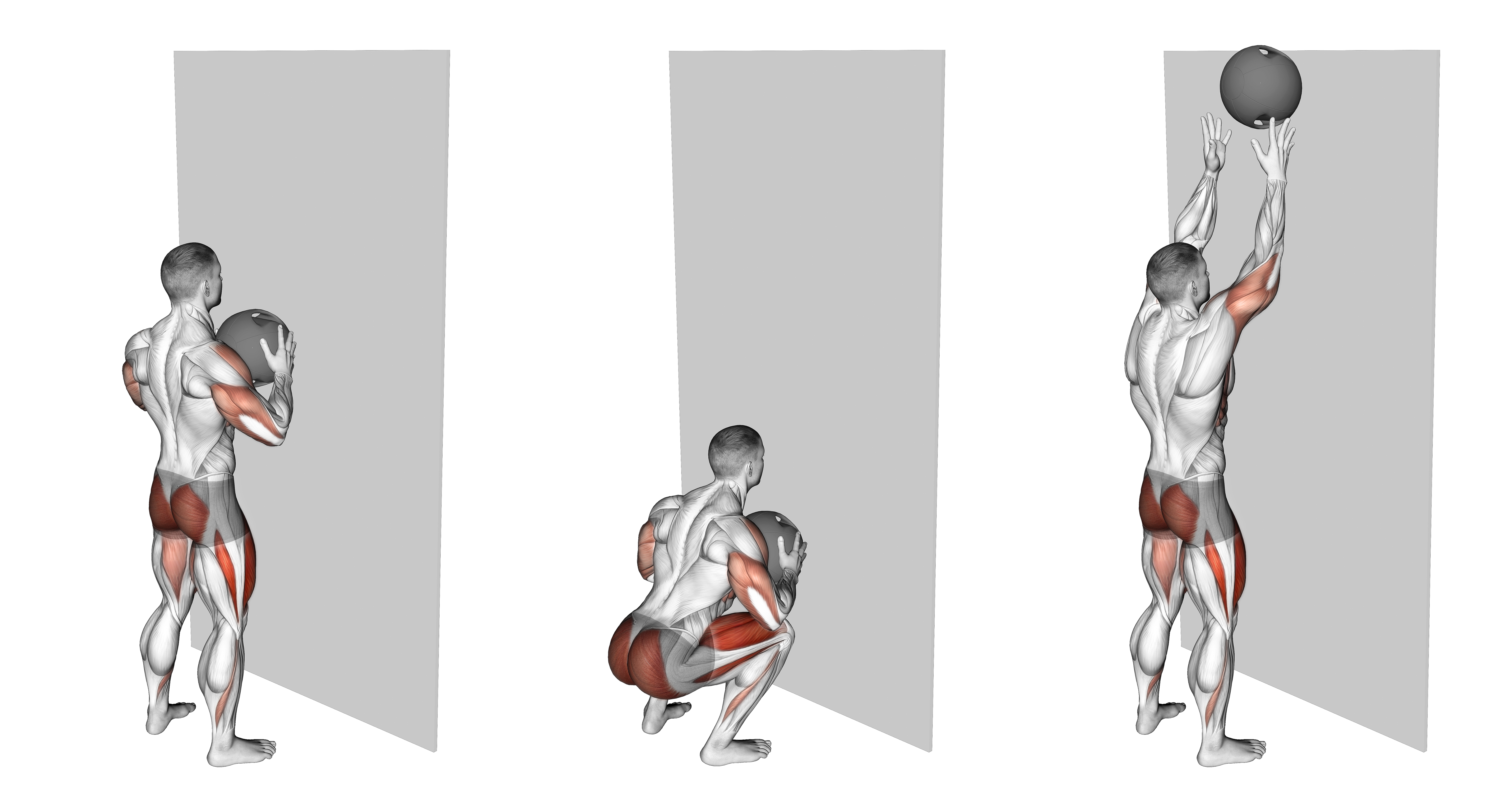 Medicine Ball Throw Squat With Wall