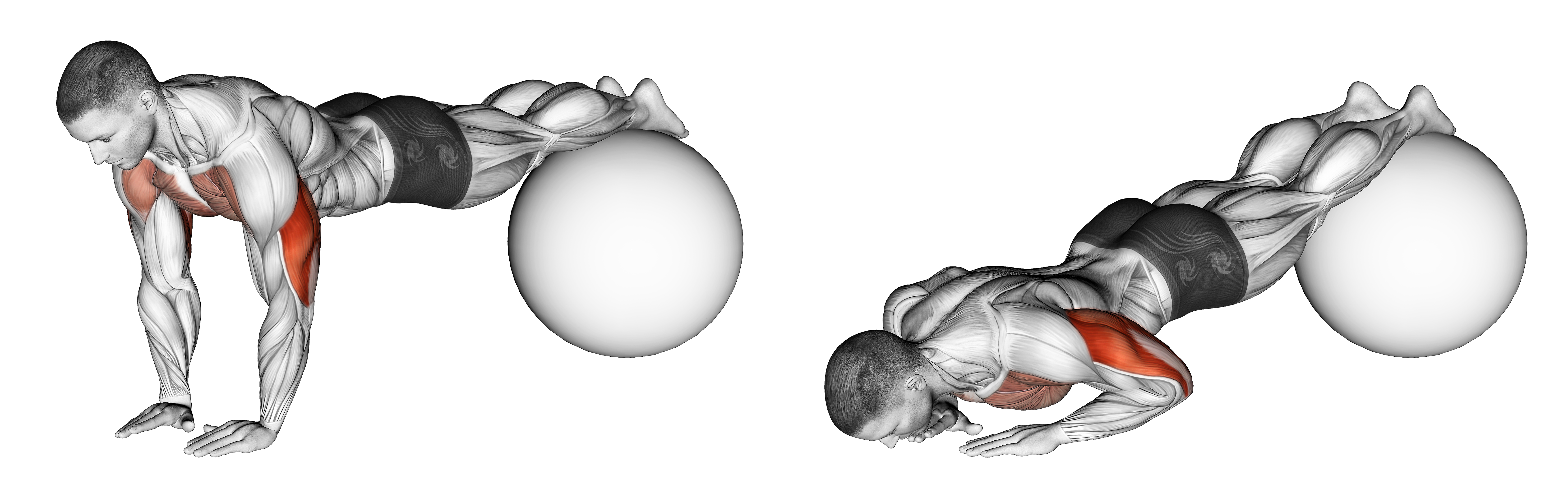 Narrow Push Up On Exercise Ball