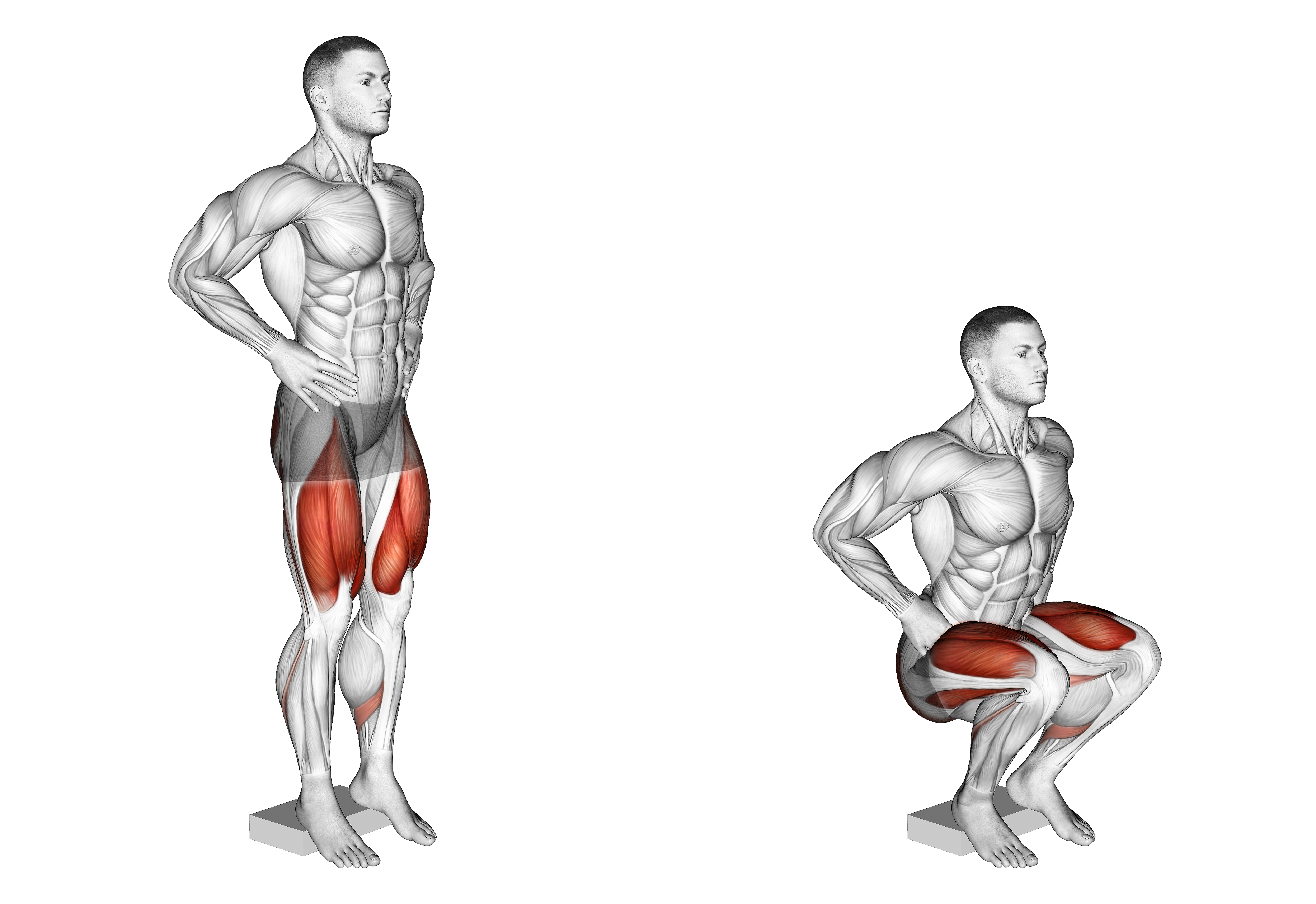 Narrow Squat From Deficit