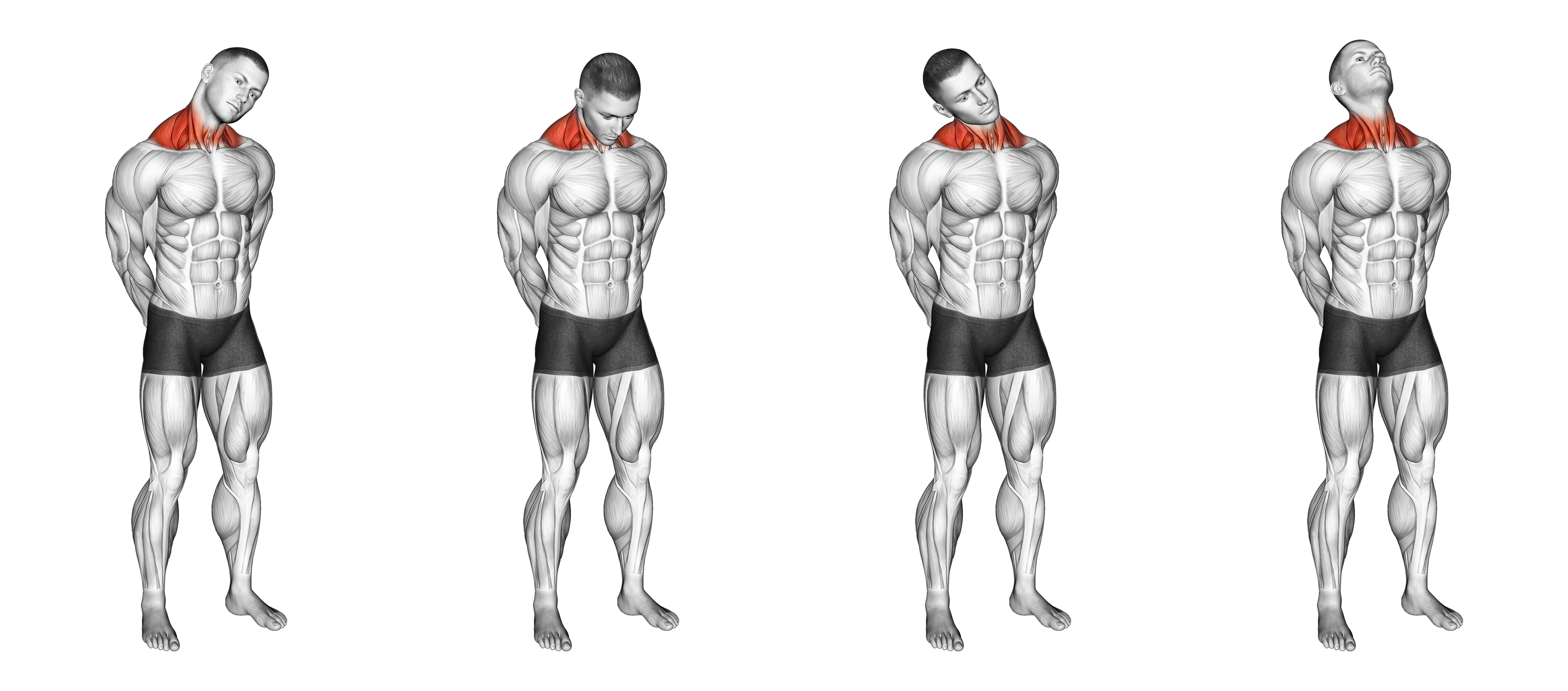 Neck Circle Stretch