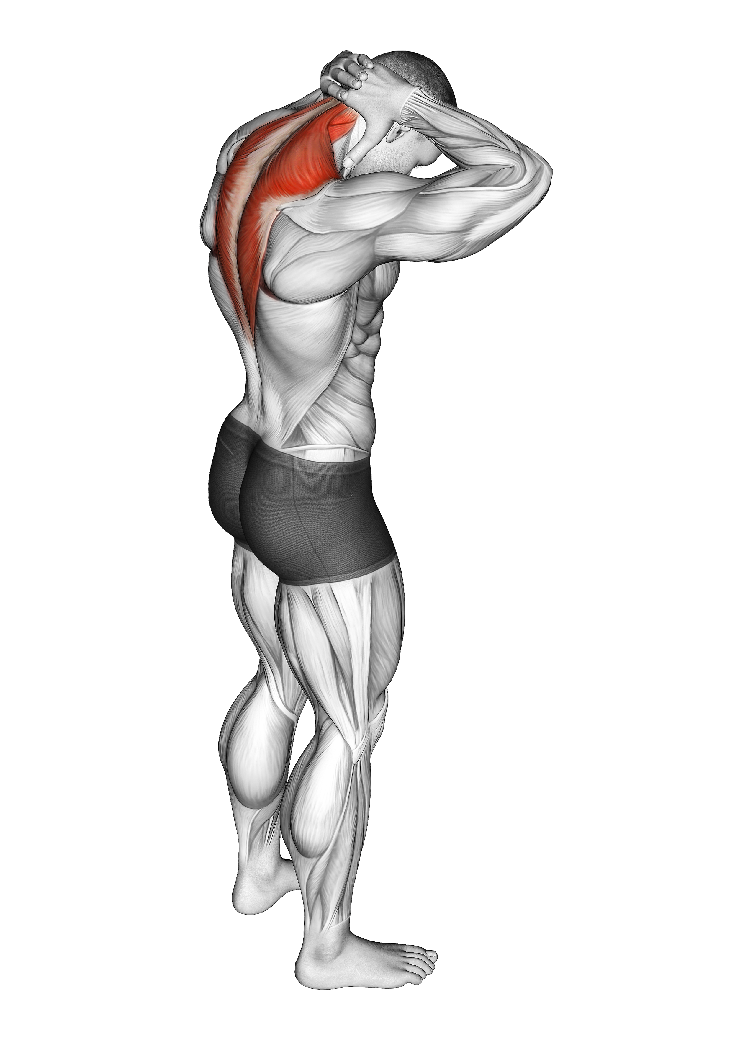 Neck Extensor Stretch