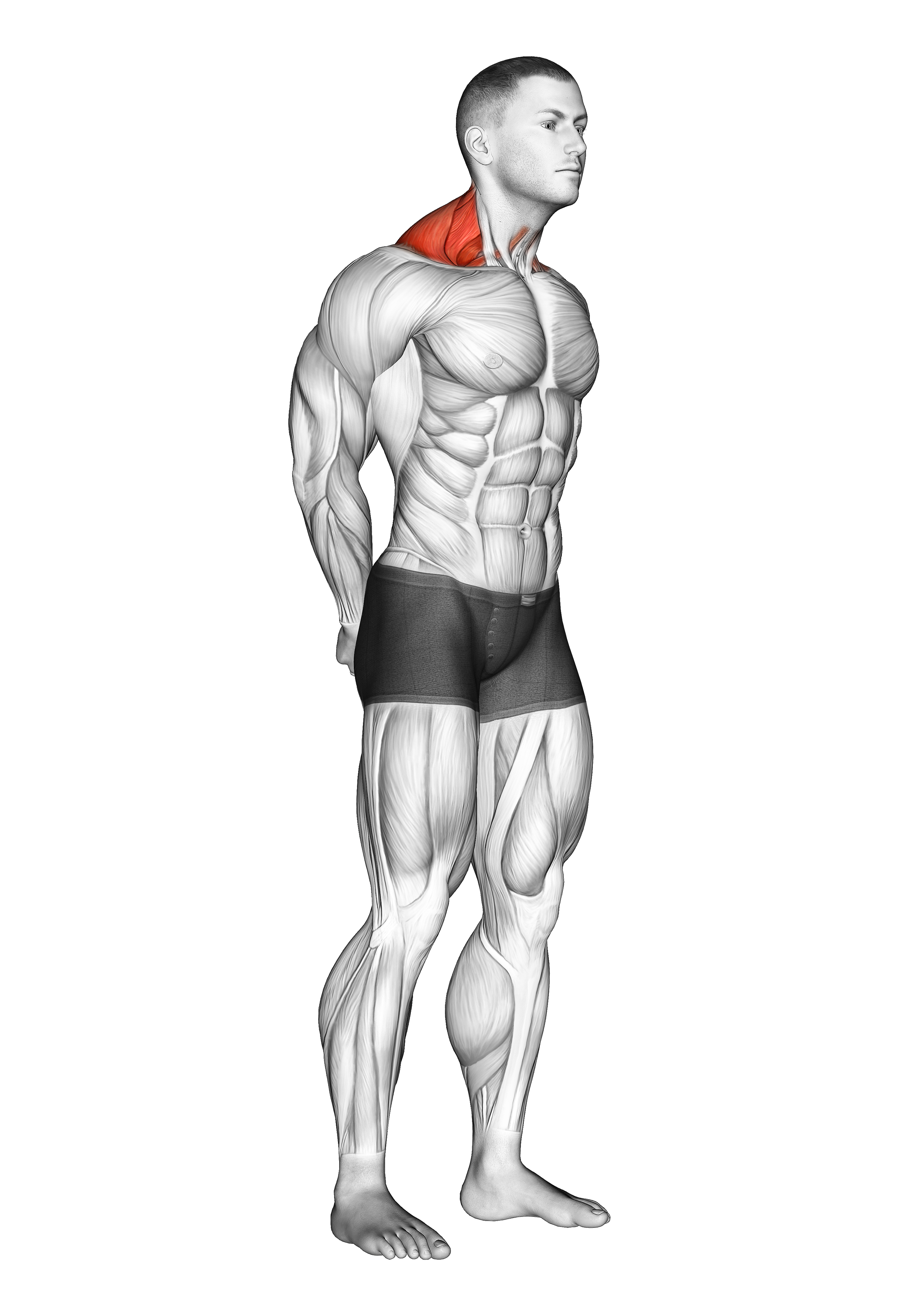 Neck Protraction Stretch