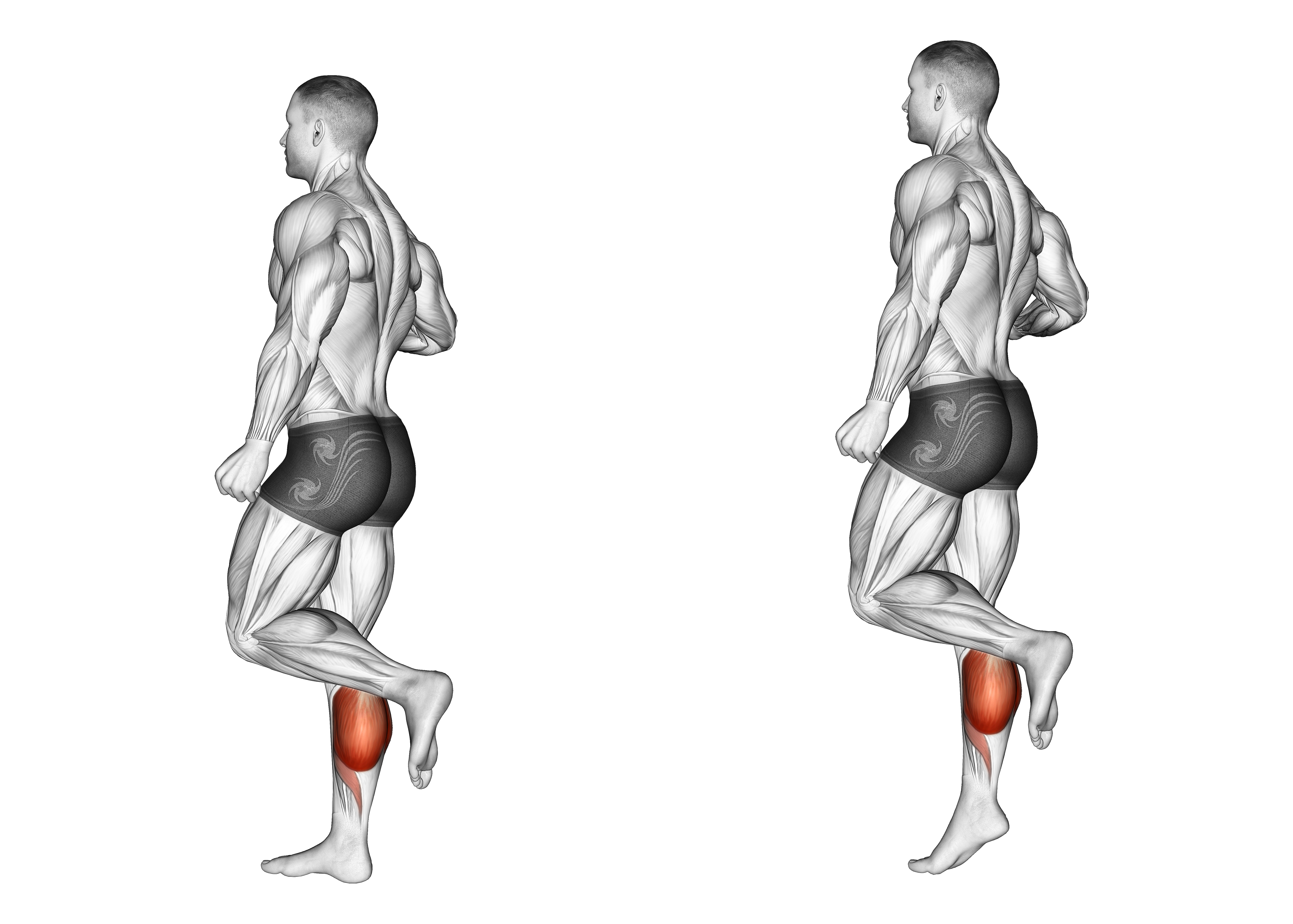 One Leg Floor Calf Raise