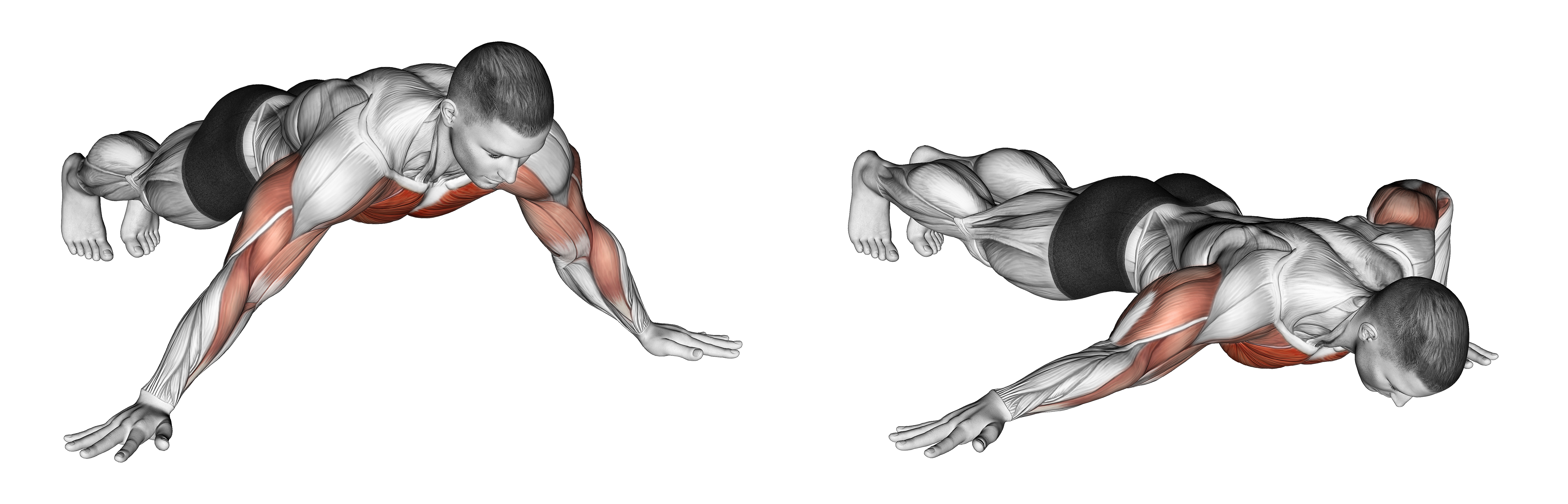One Side Archer Push Up