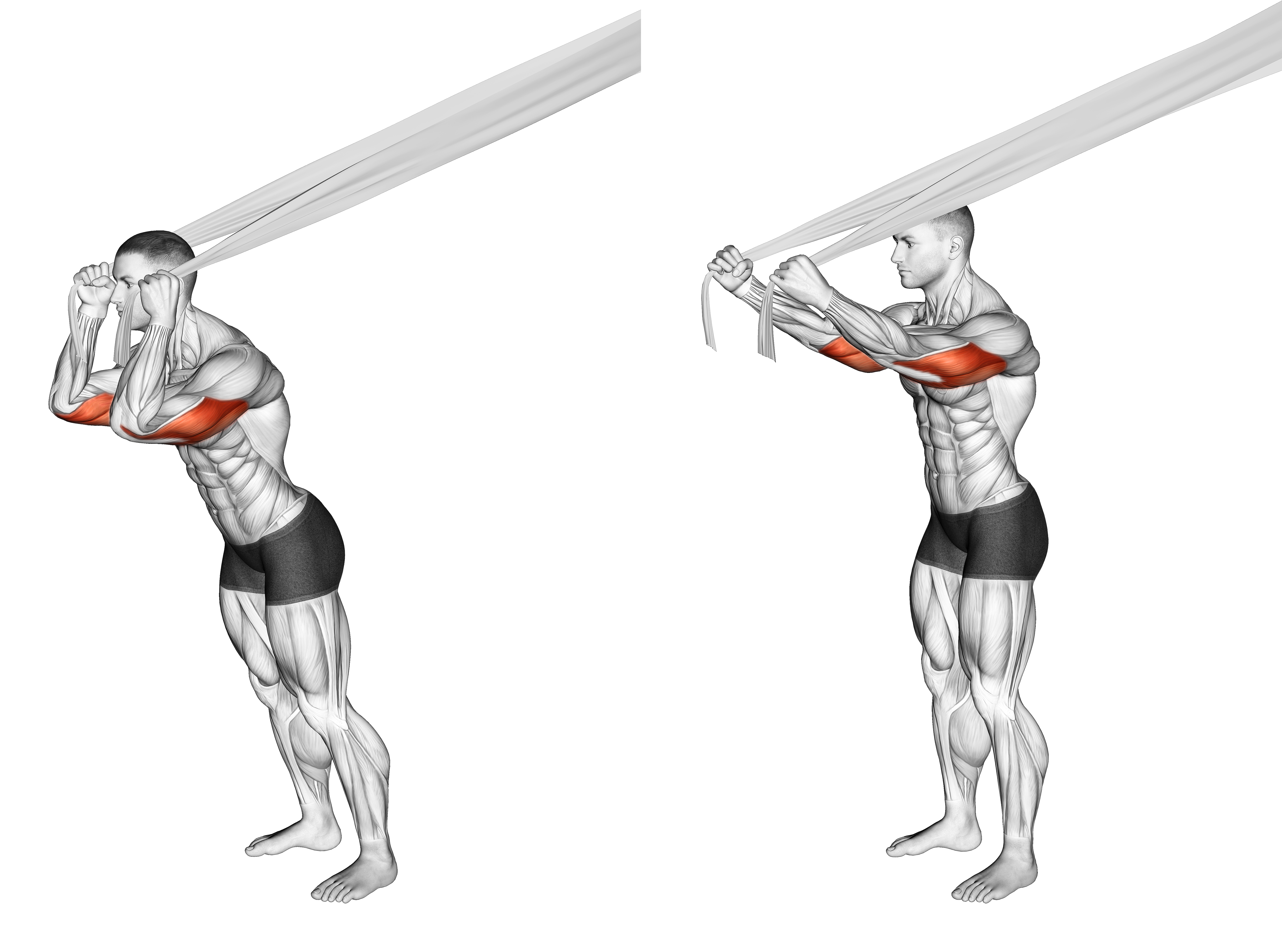 Overhead Triceps Extension With Bed Sheet