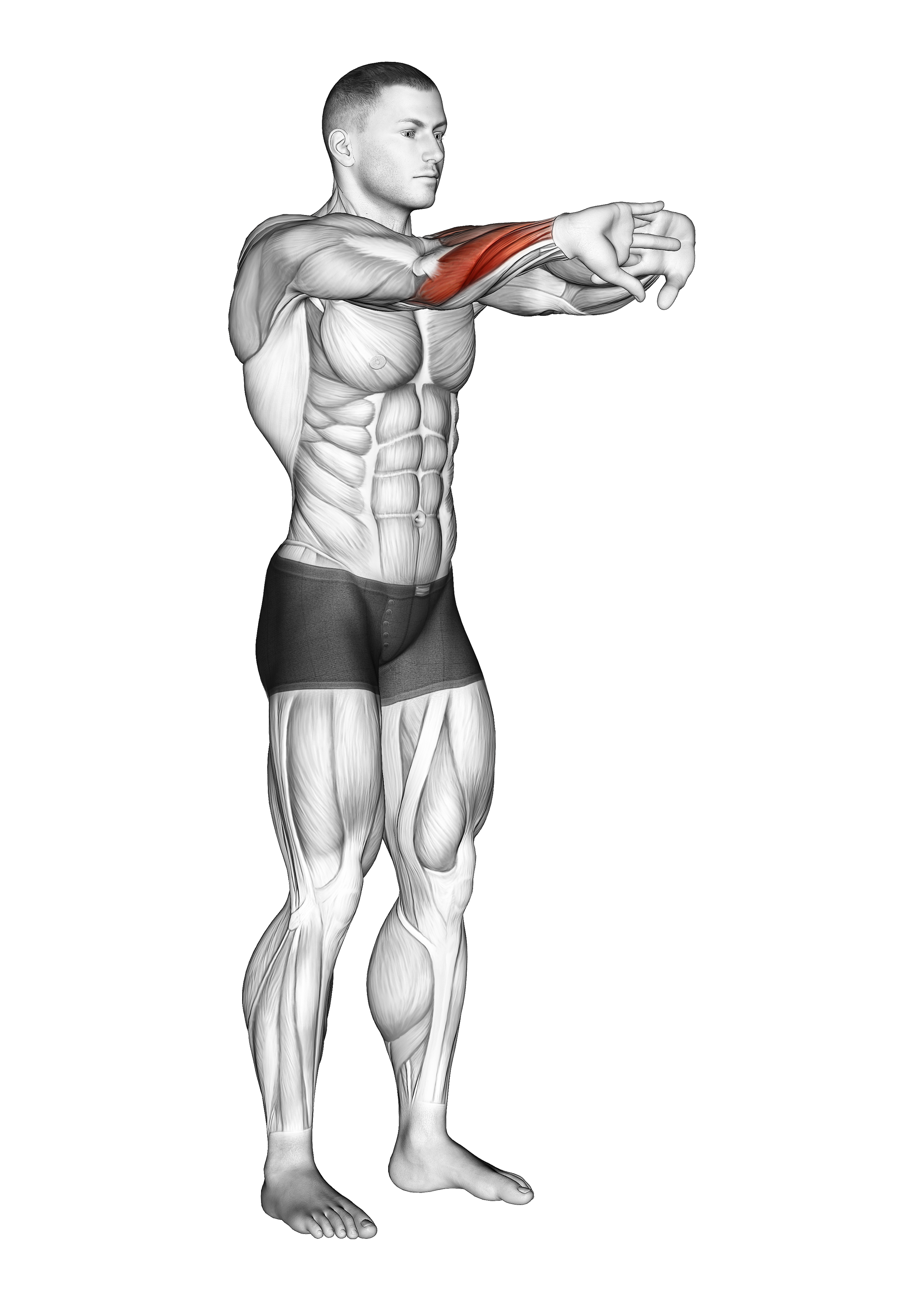 Palms Out Forearm Stretch