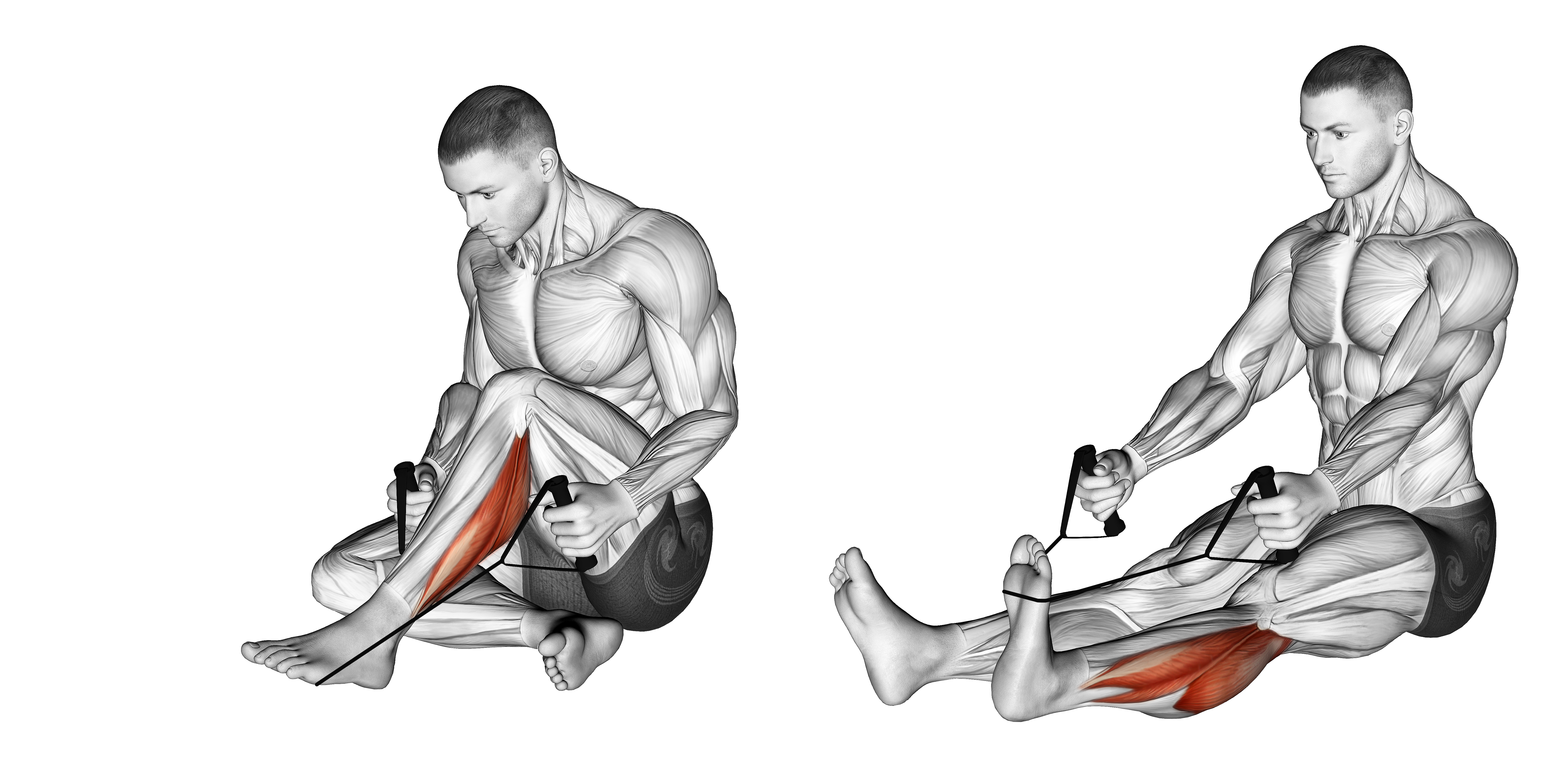Peroneals Stretch