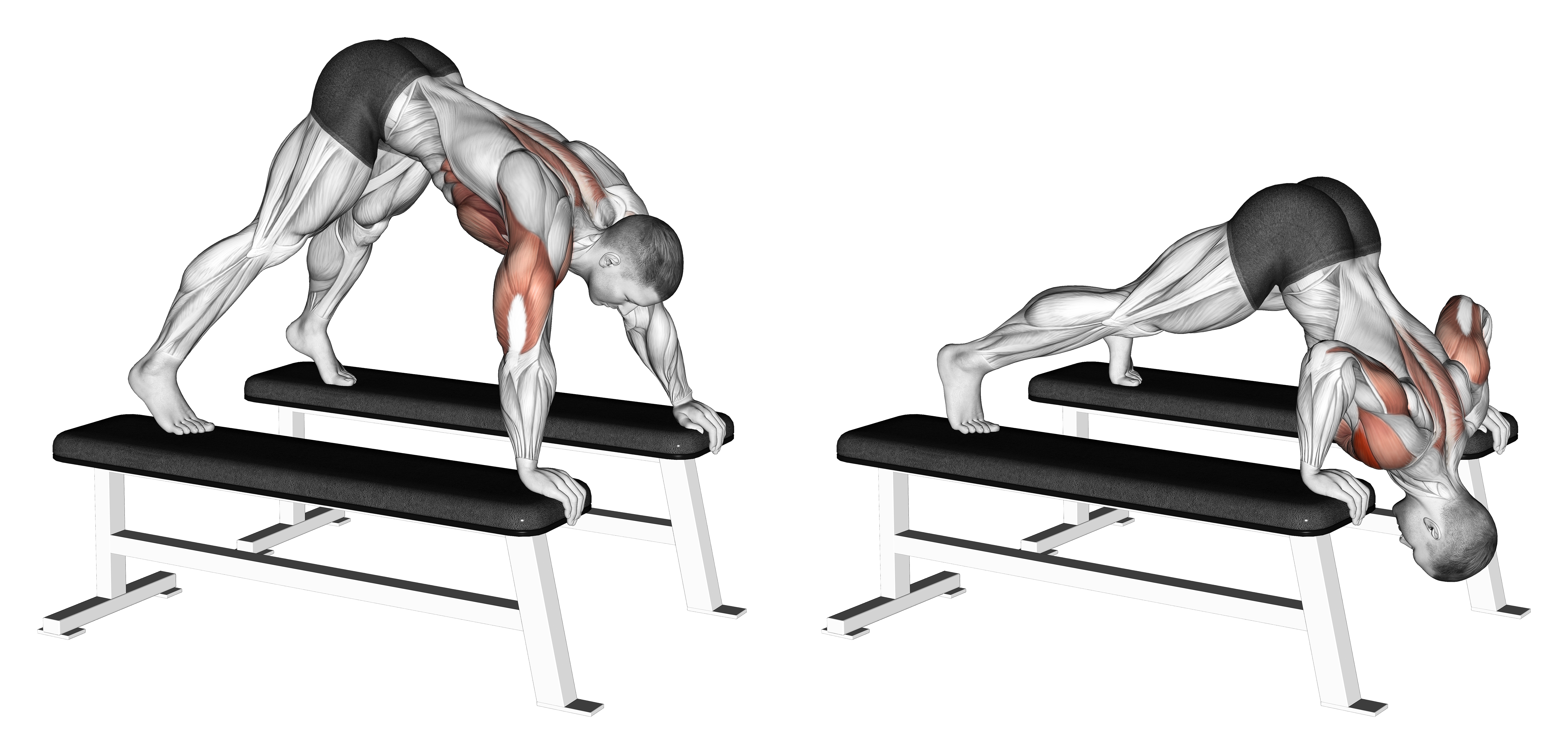 Pike Push Up (between Benches)