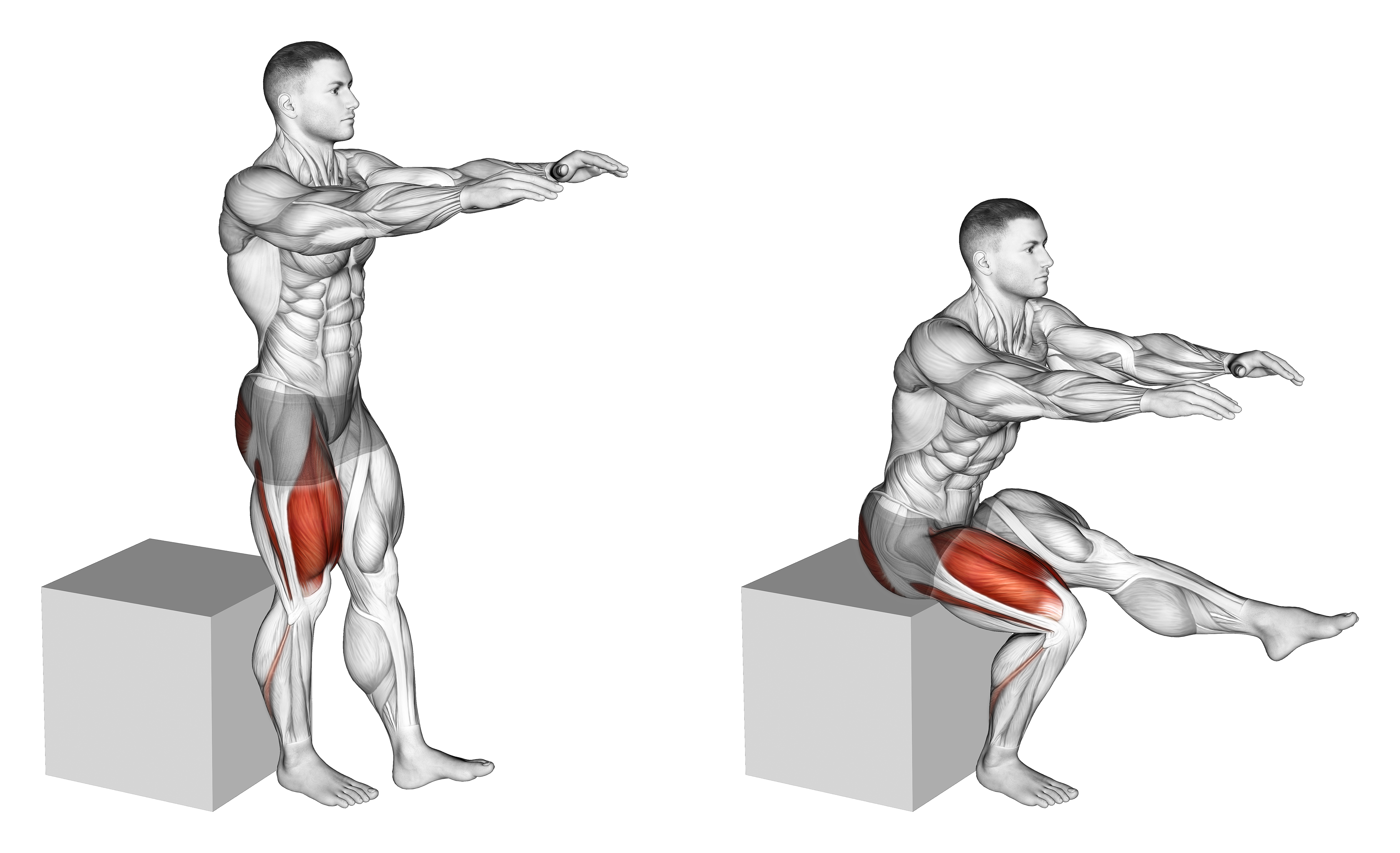 Pistol Squat To Box