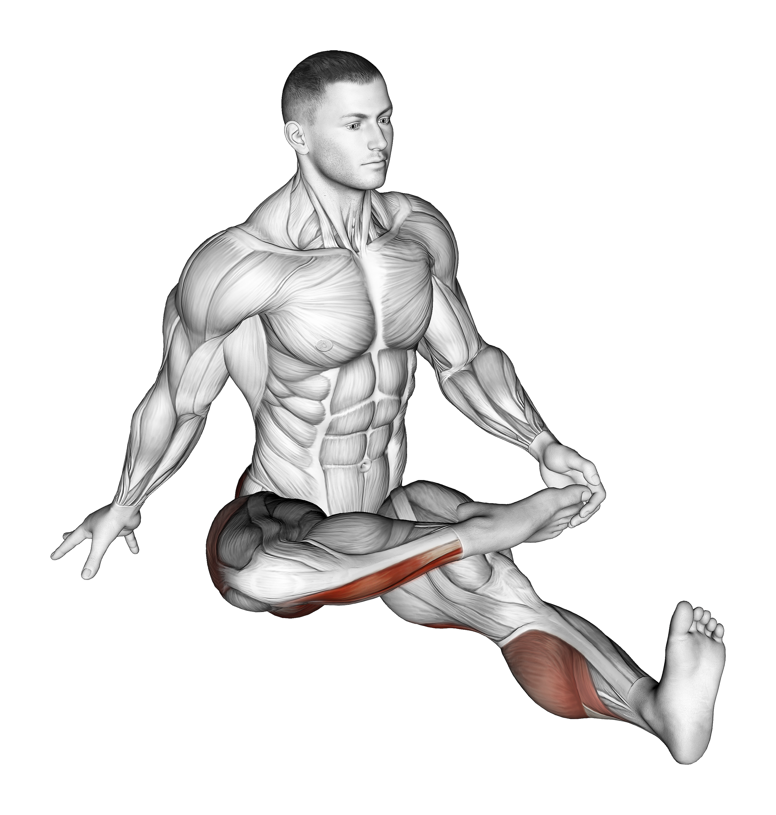 Plantar Flexion Stretch