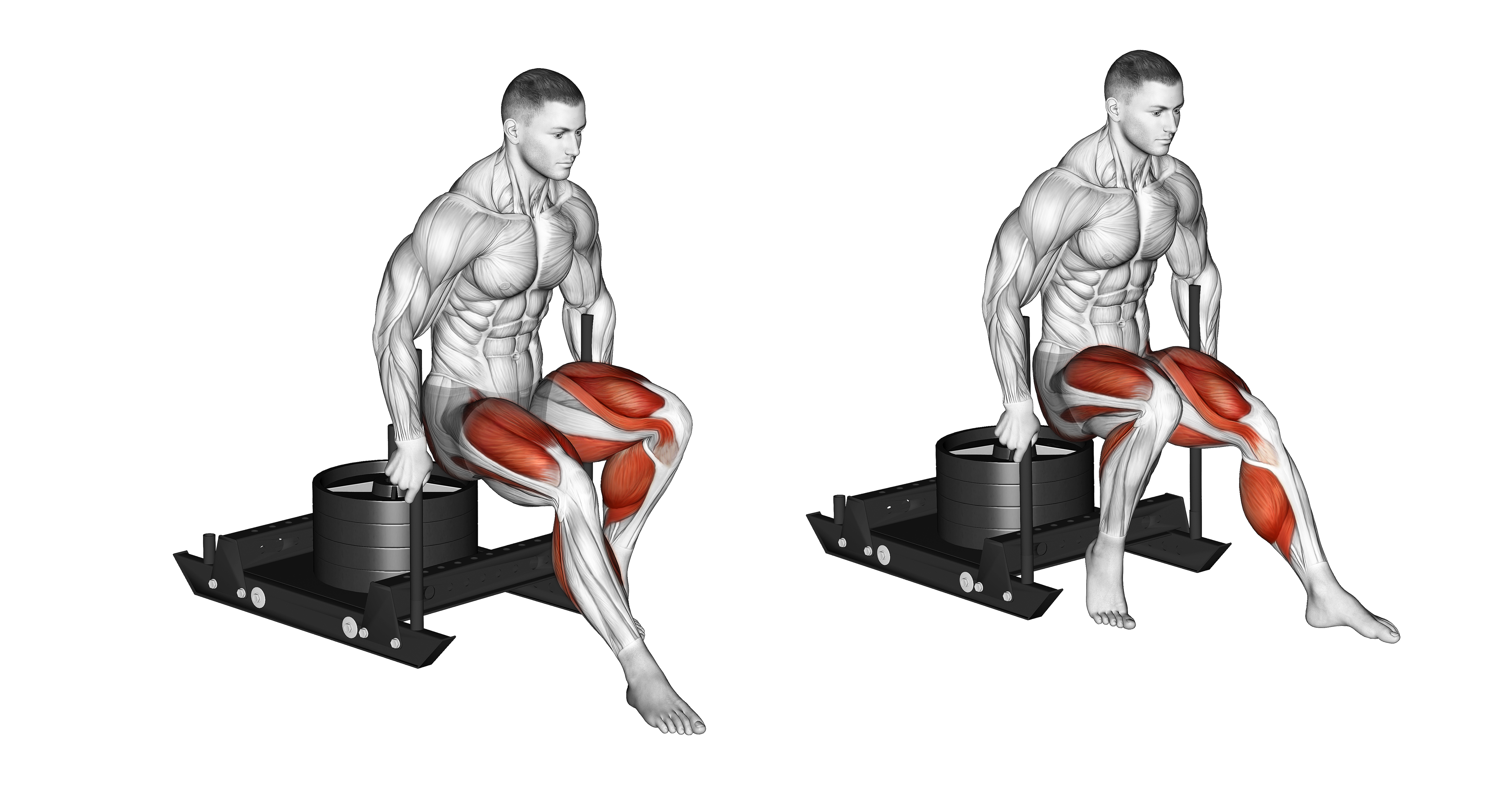 Power Sled Backward Push