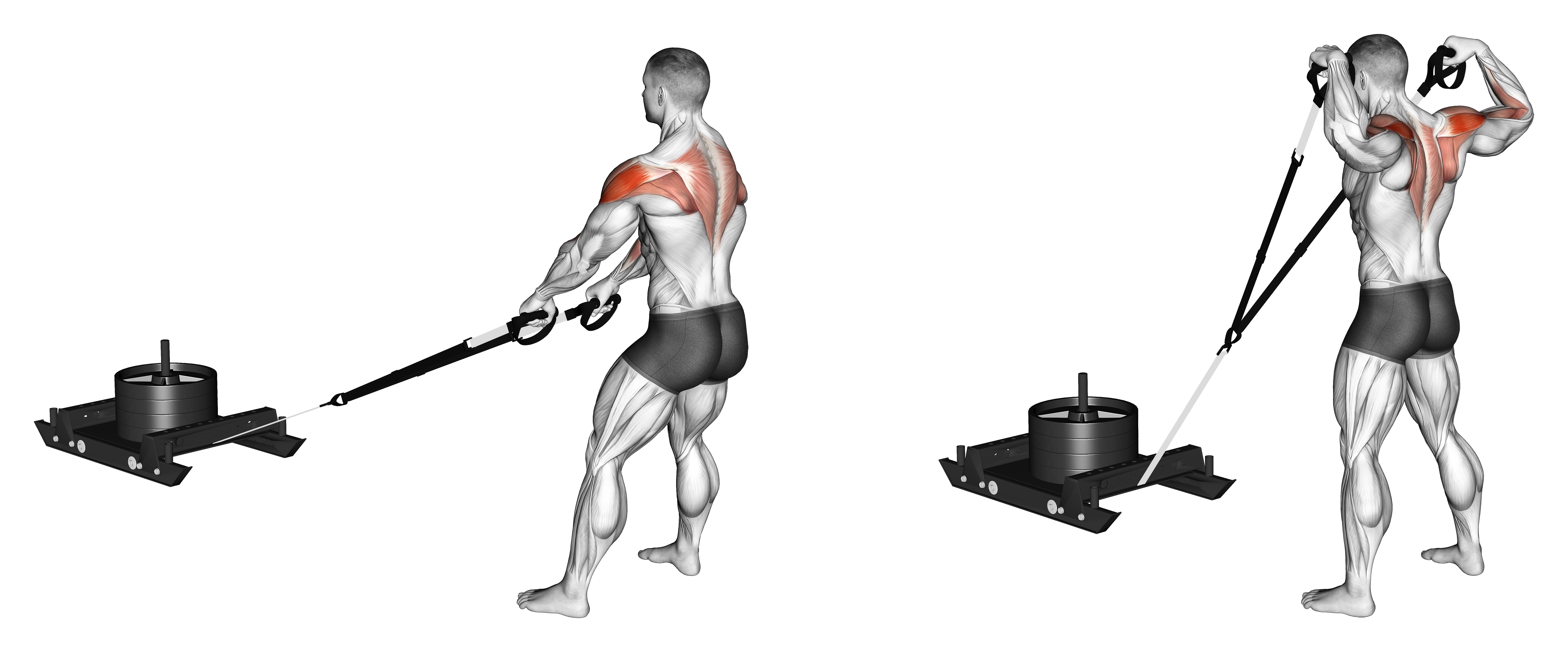 Power Sled High Pull