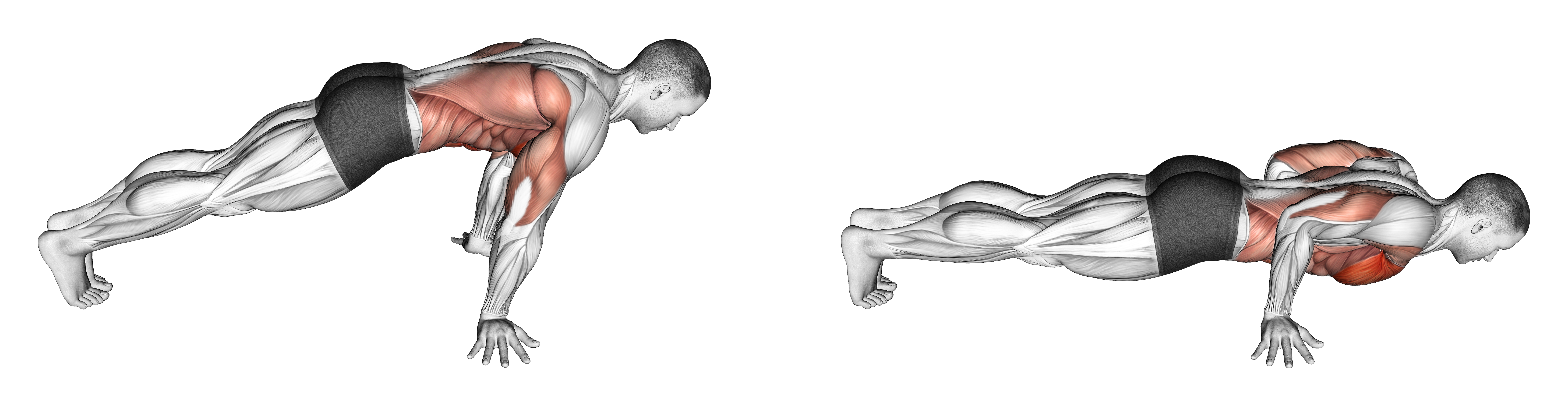 Pseudo Planche Push Up