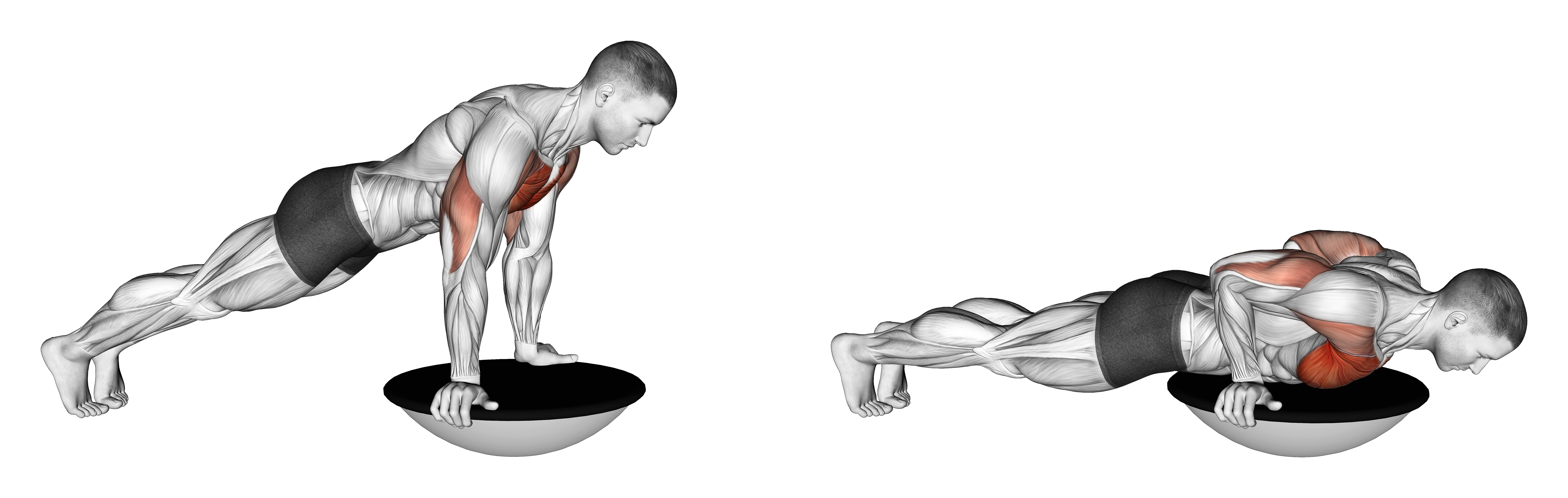 Push Up (bosu Ball)