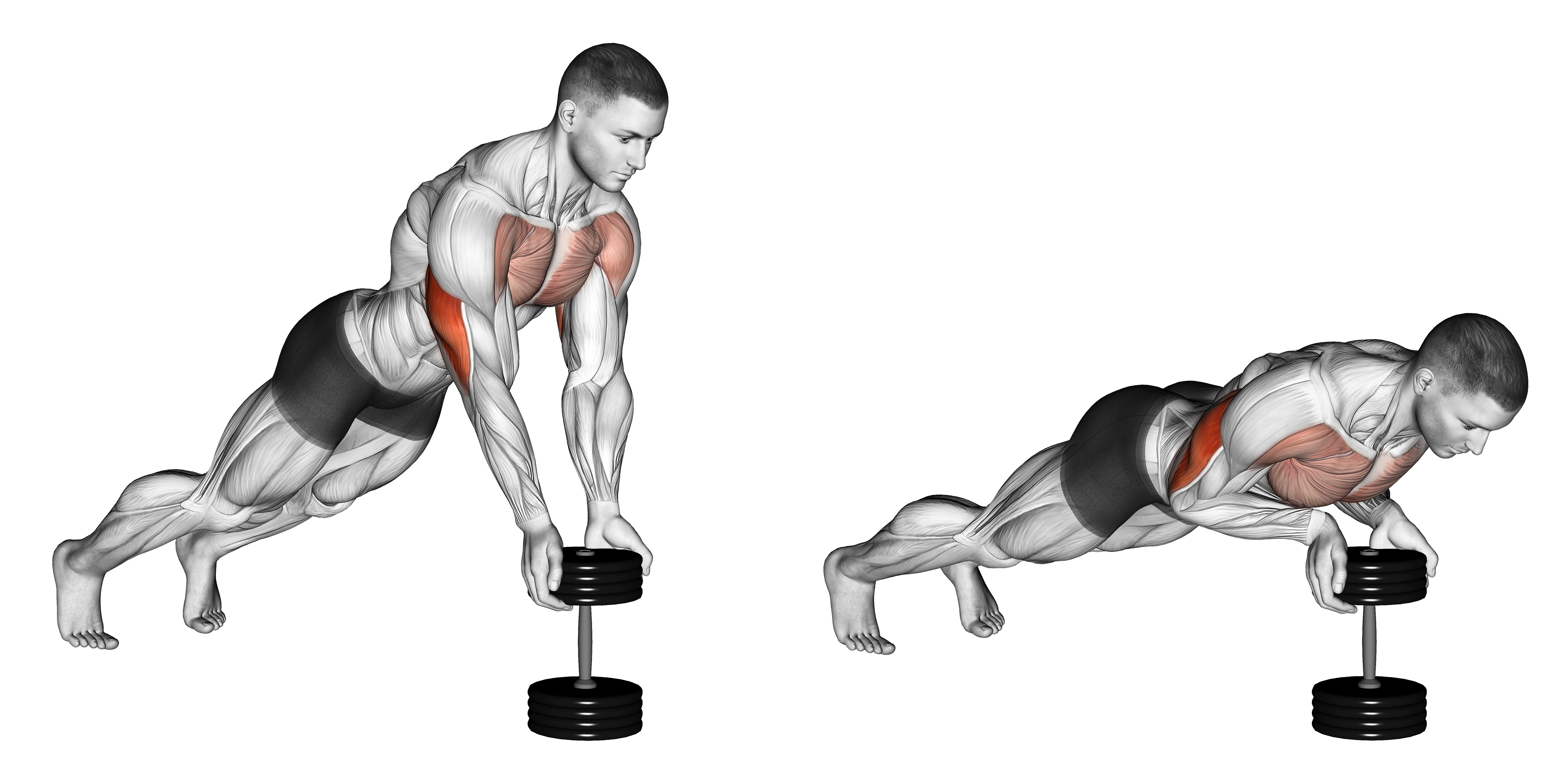 Push Up Close Grip Off Dumbbell