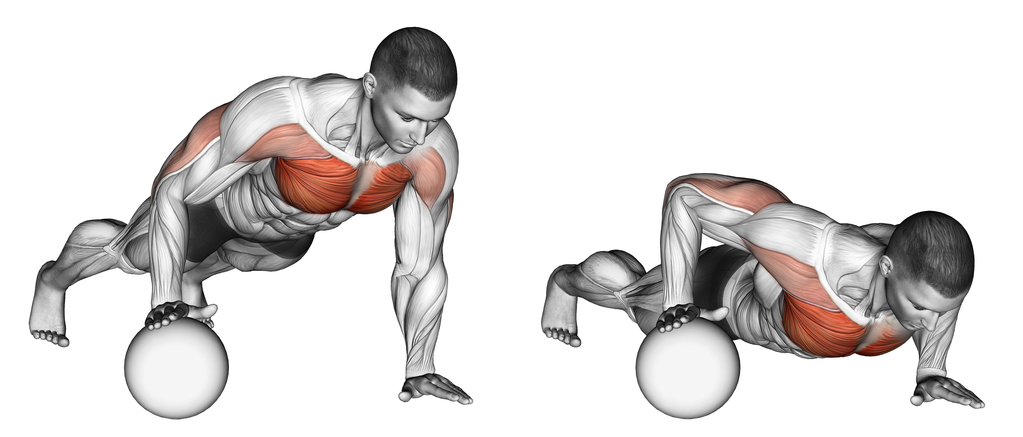 Push Up Medicine Ball