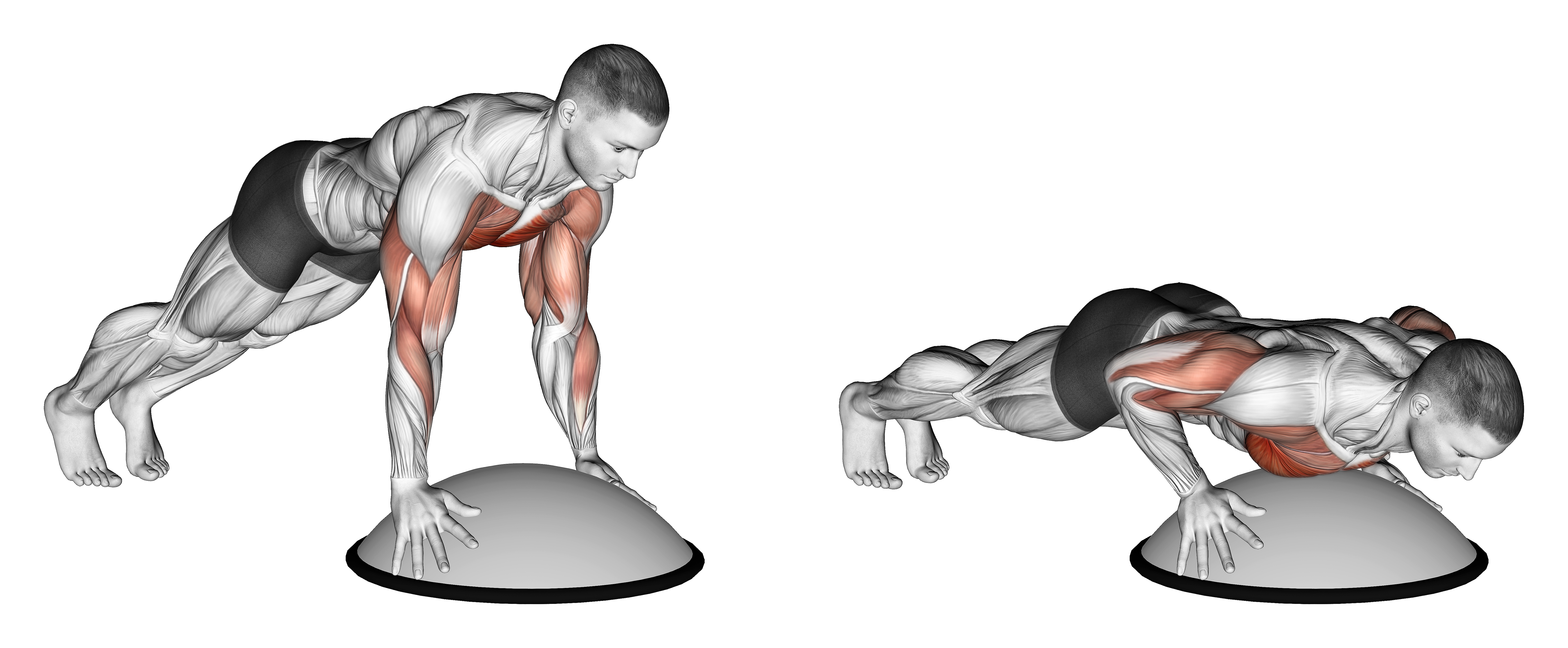 Push Up On Bosu Ball