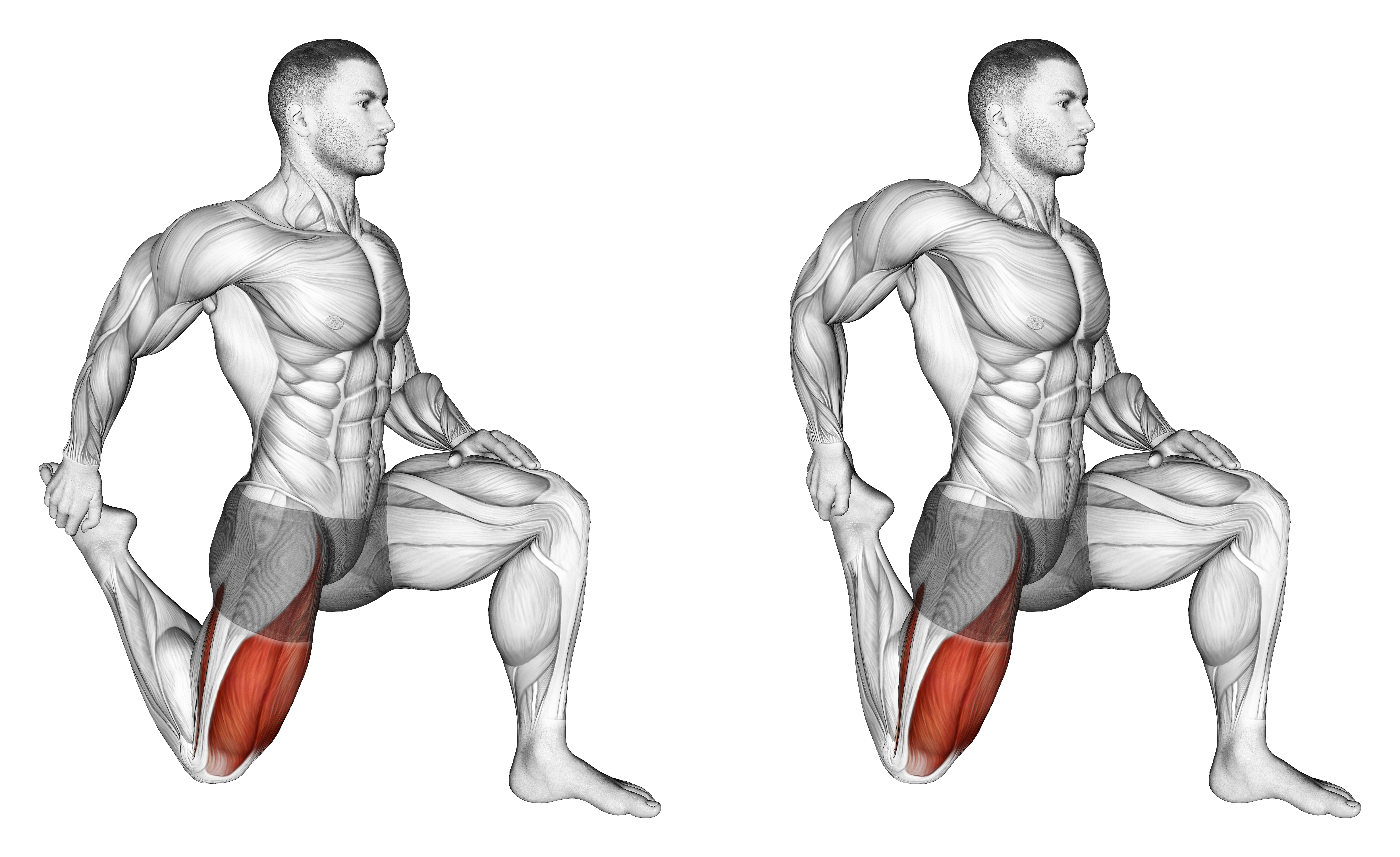 Quadriceps Stretch