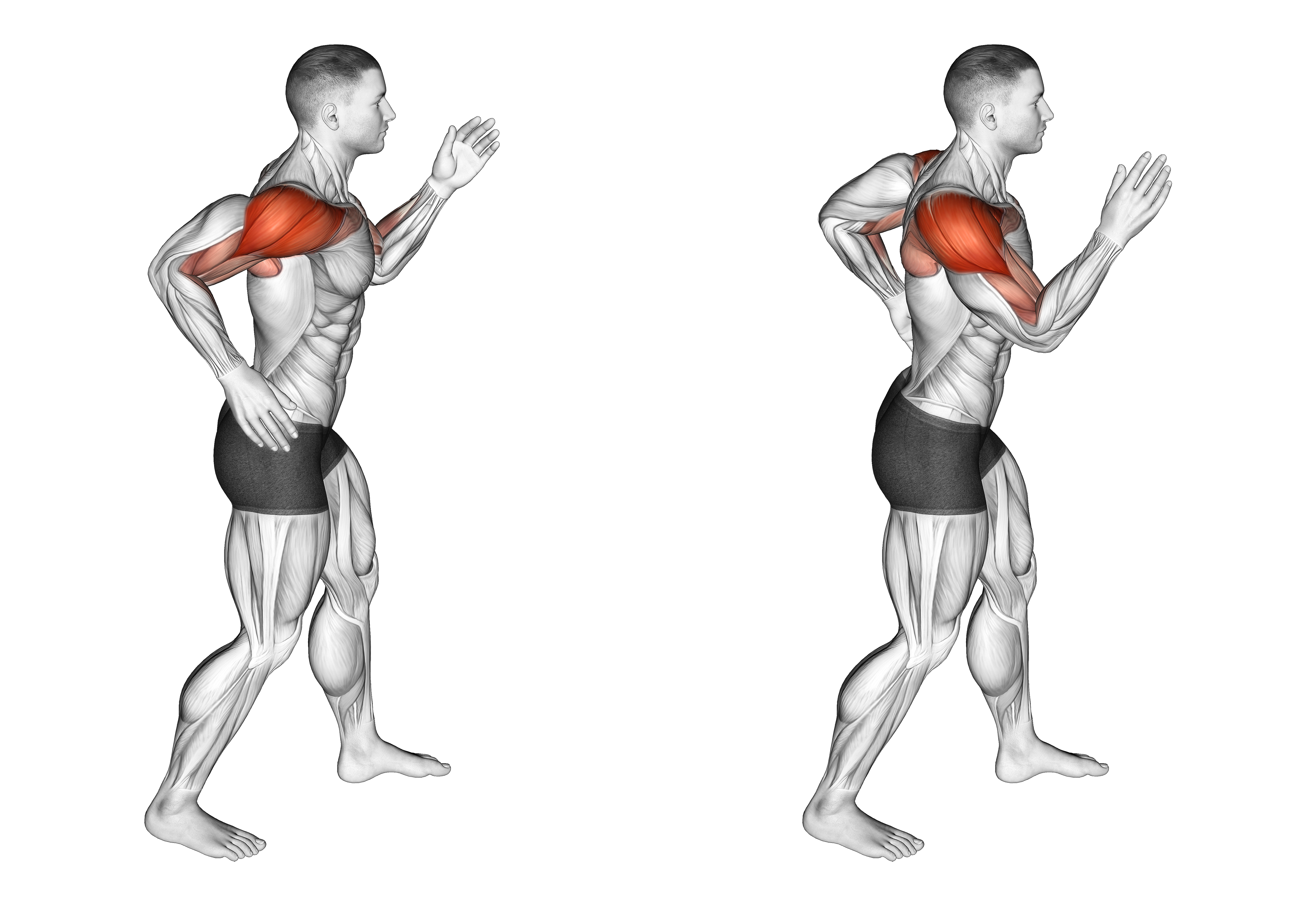 Quickly Swing Arms In Place