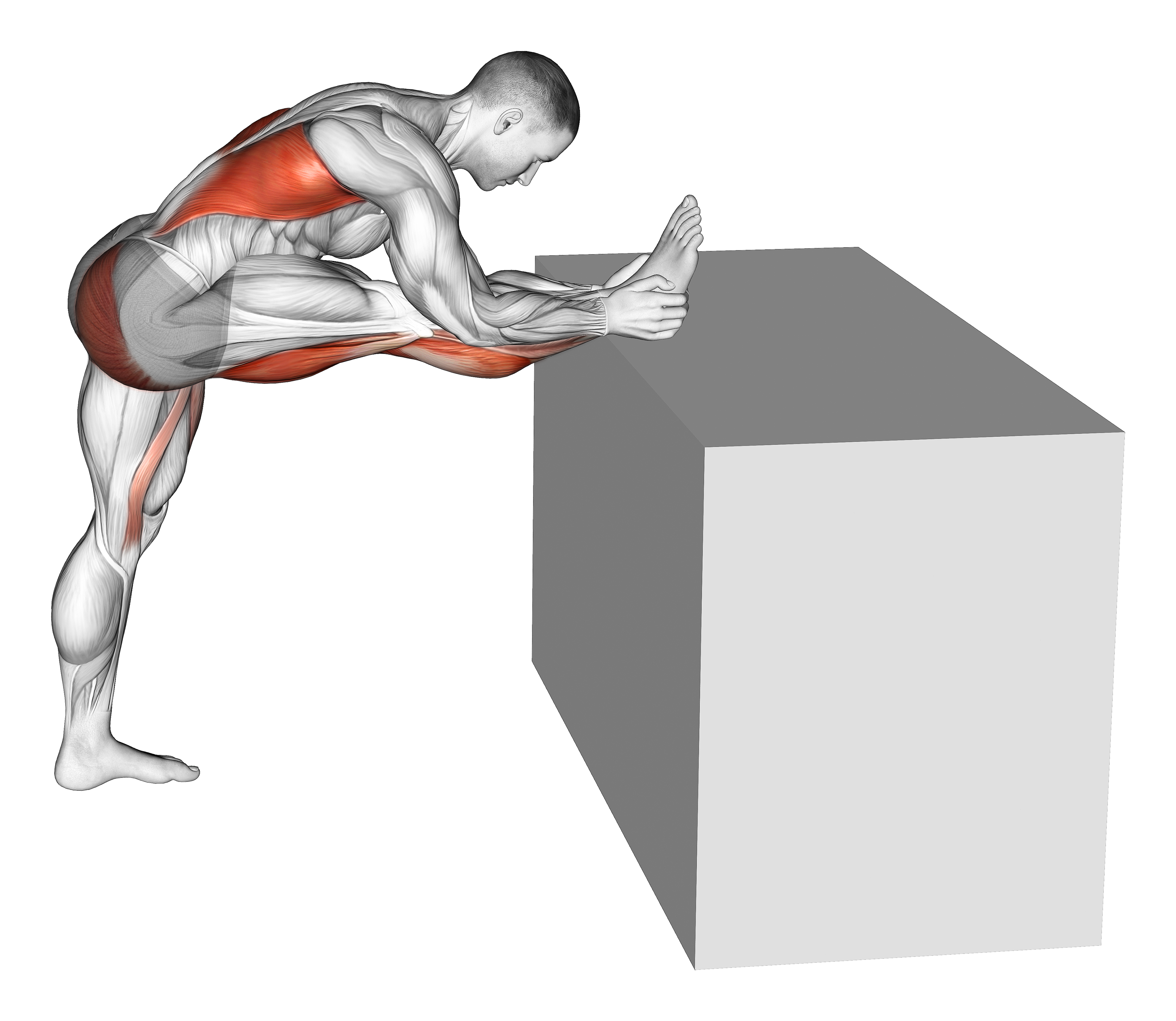 Raised Leg Knee Flexor Stretch