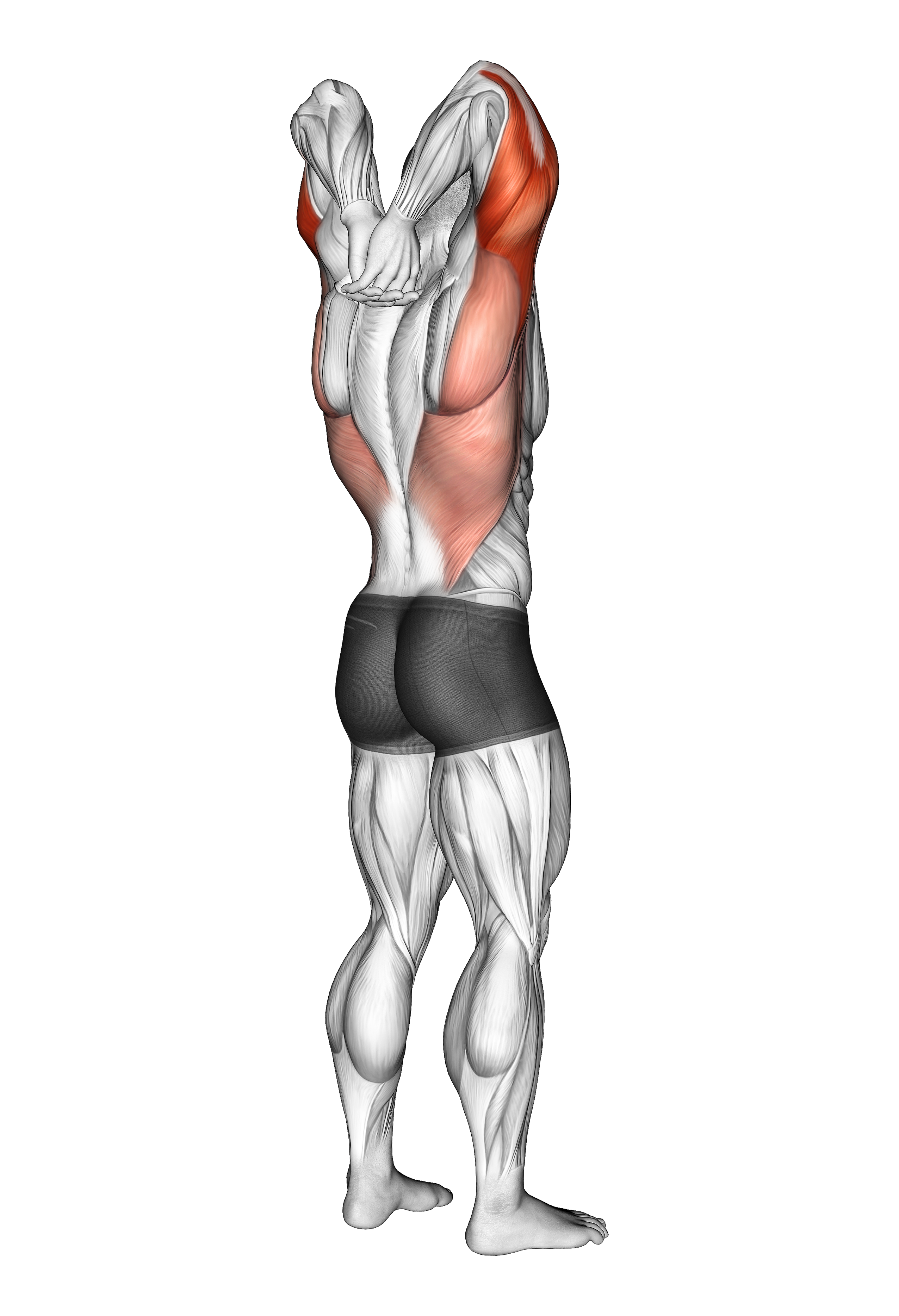 Reaching Down Triceps Stretch