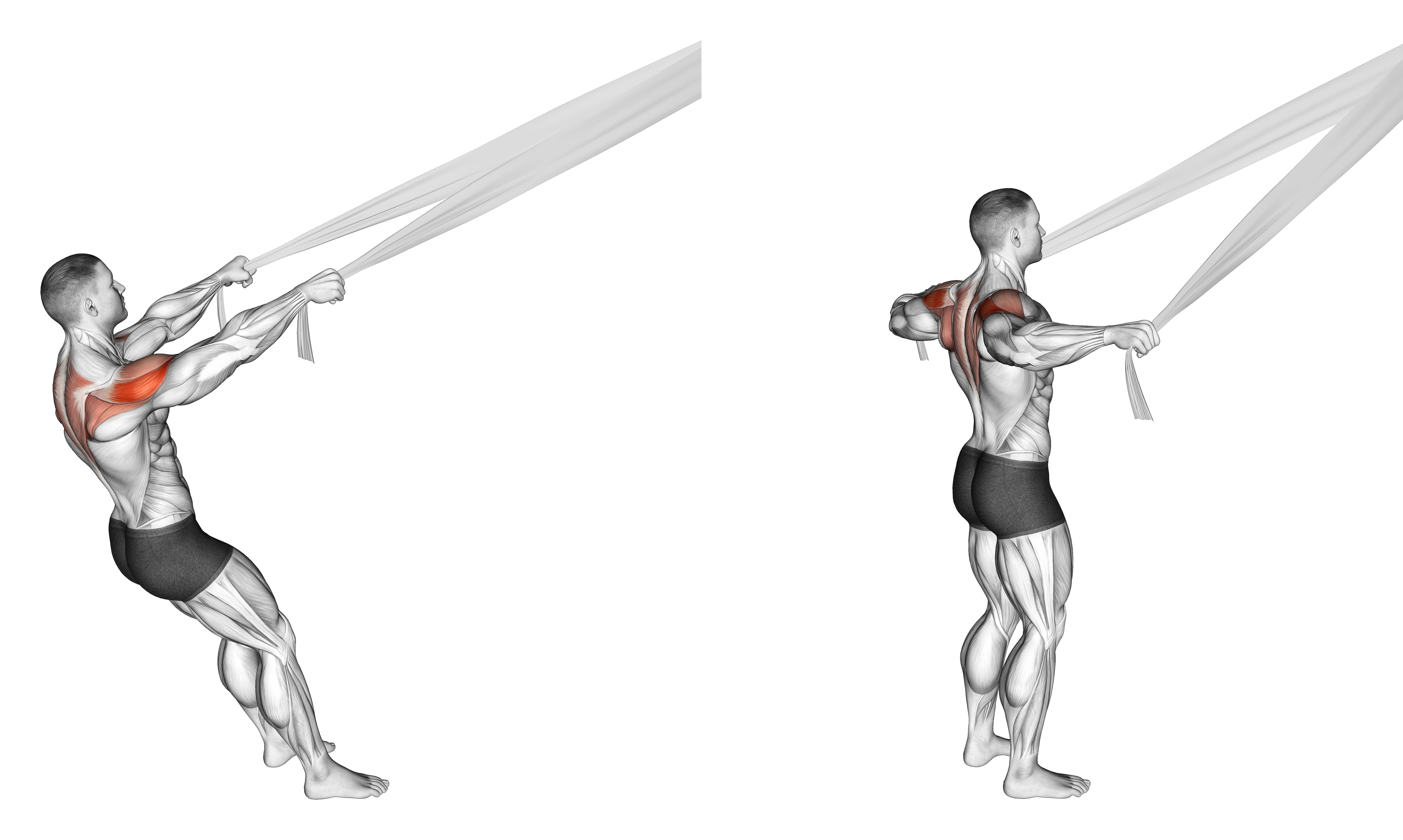 Rear Delt Fly With Bed Sheet