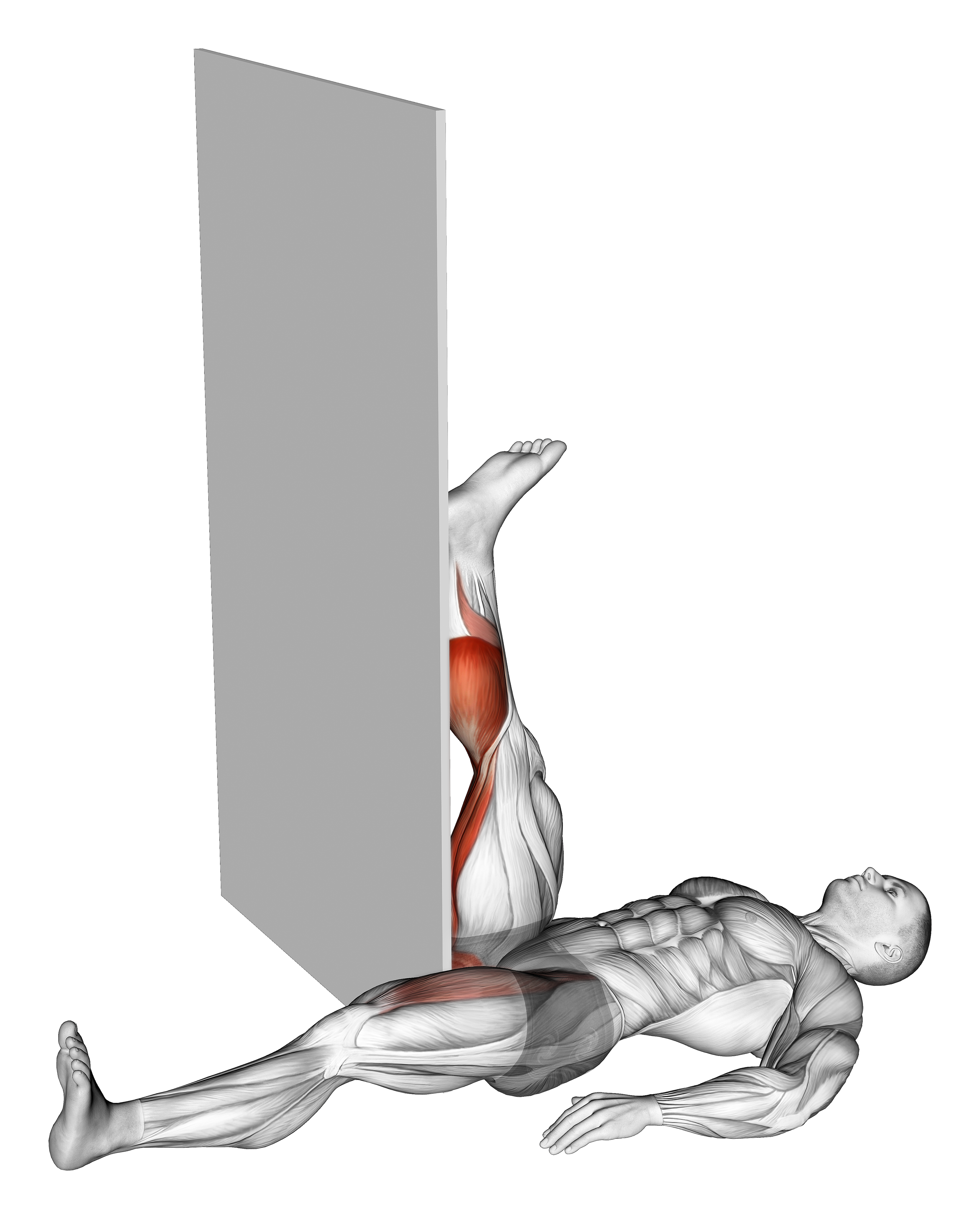 Recumbent Knee Flexor Stretch