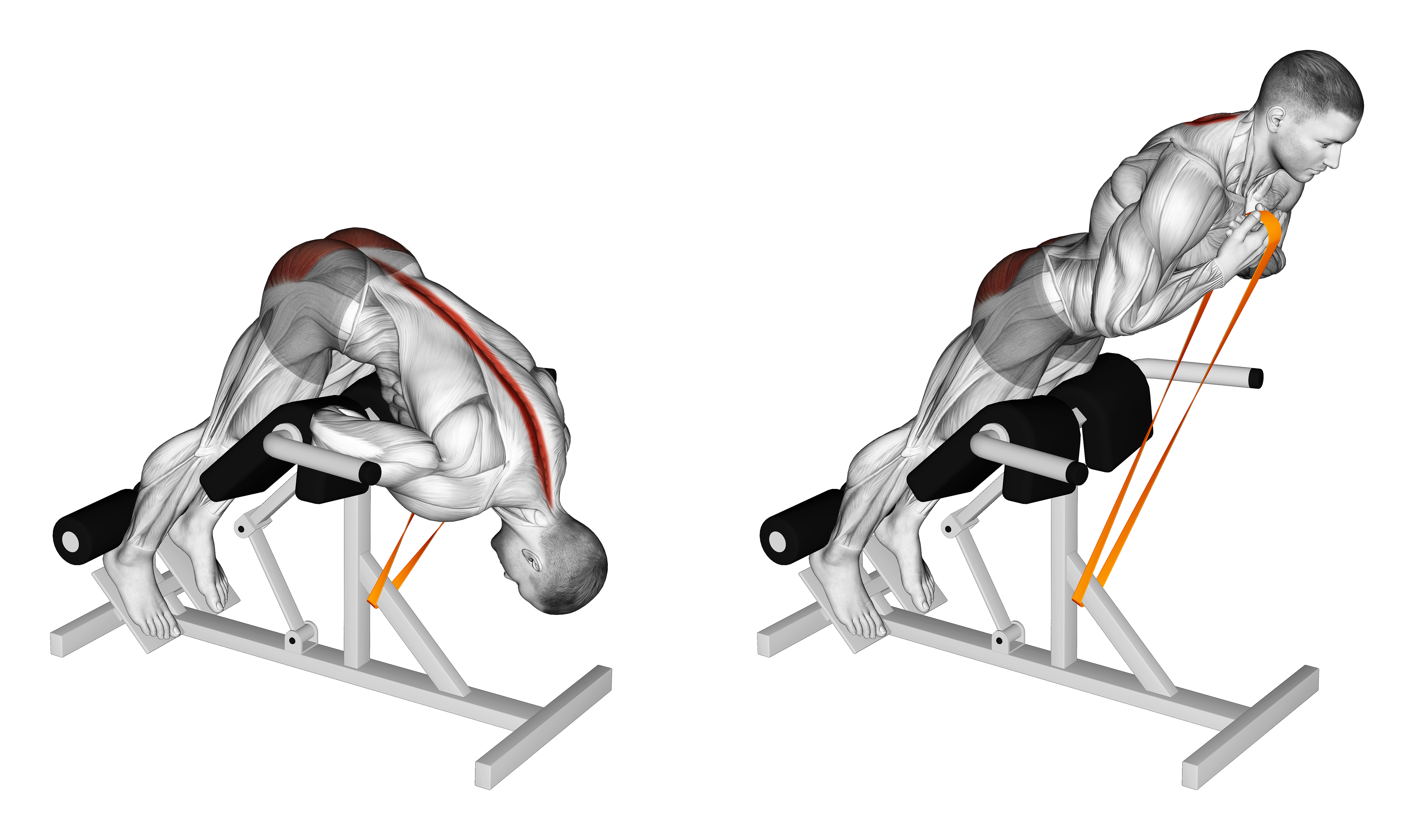 Resistance Band 45 Degrees Hyperextension