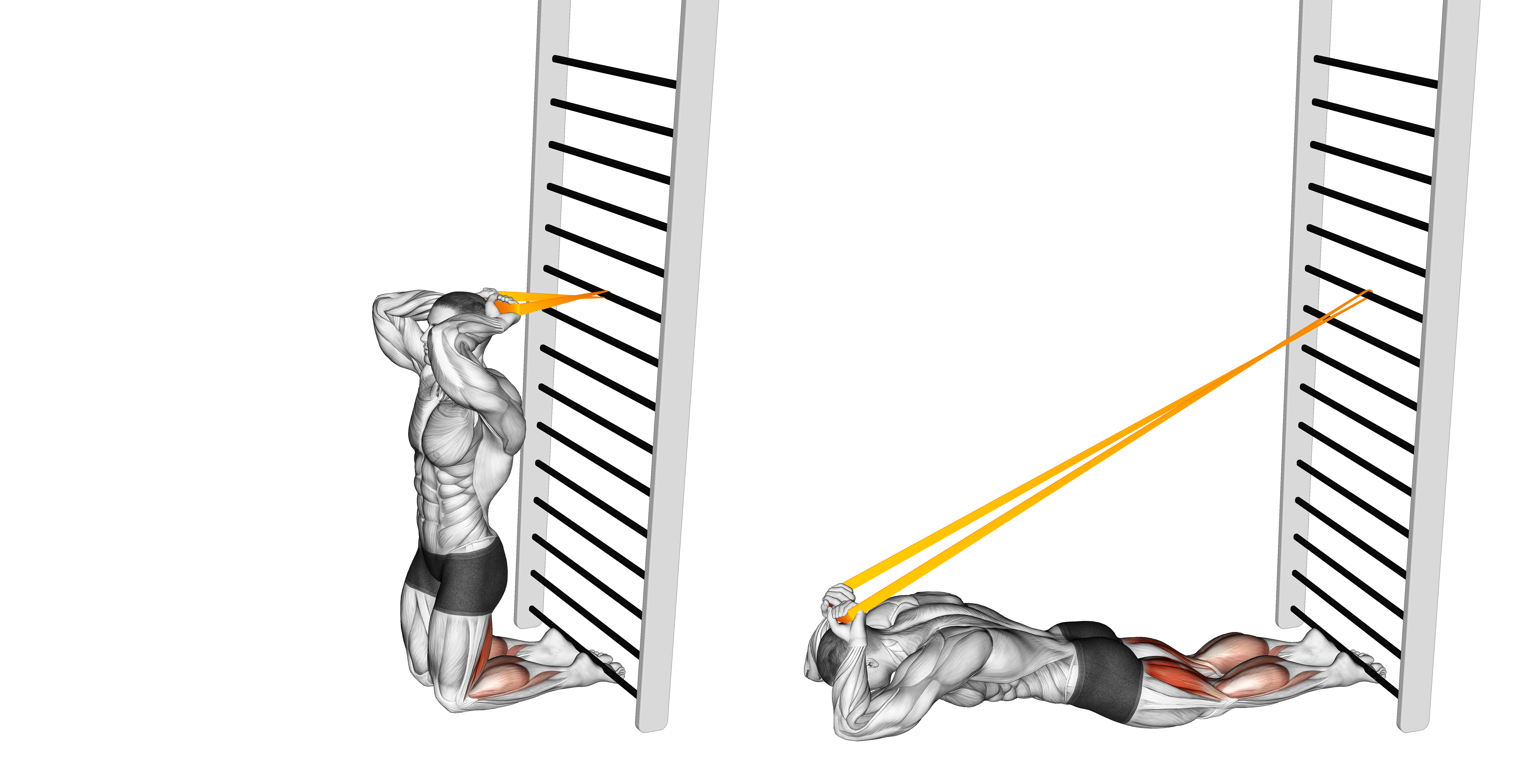 Resistance Band Assisted Nordic Hamstring Curl