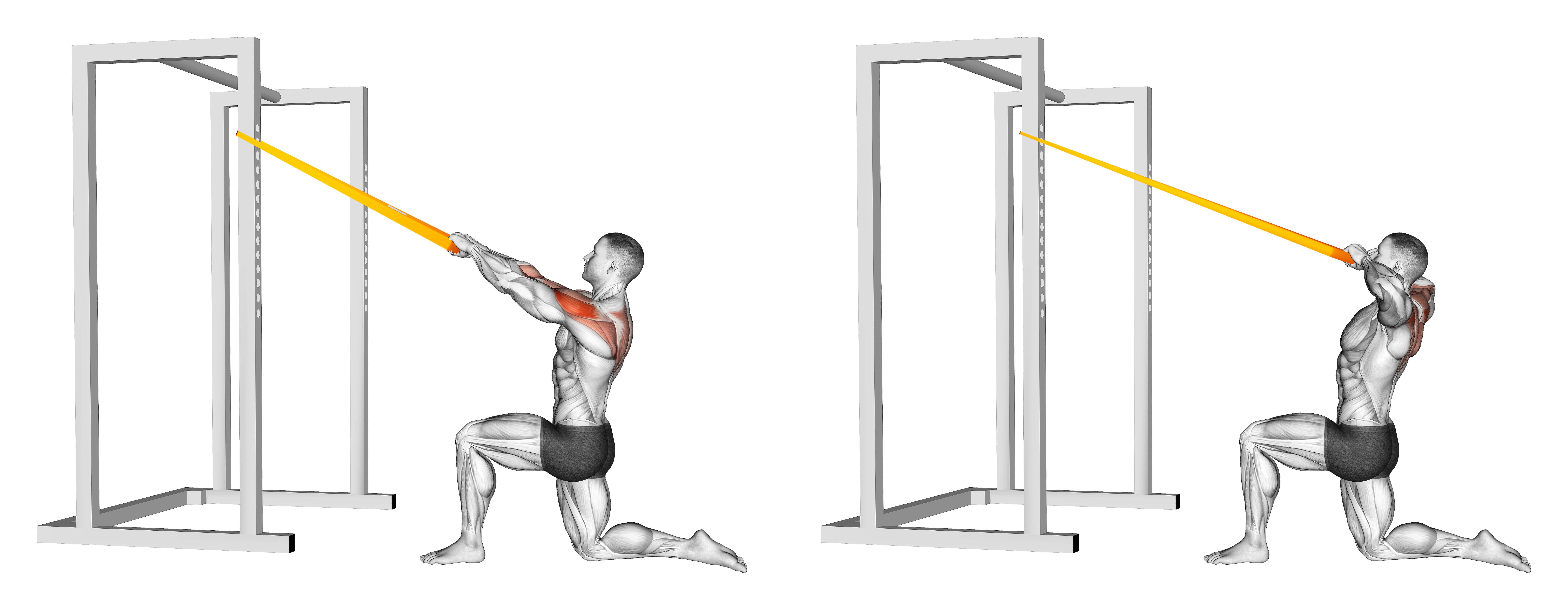 Resistance Band Half Kneeling Face Pull
