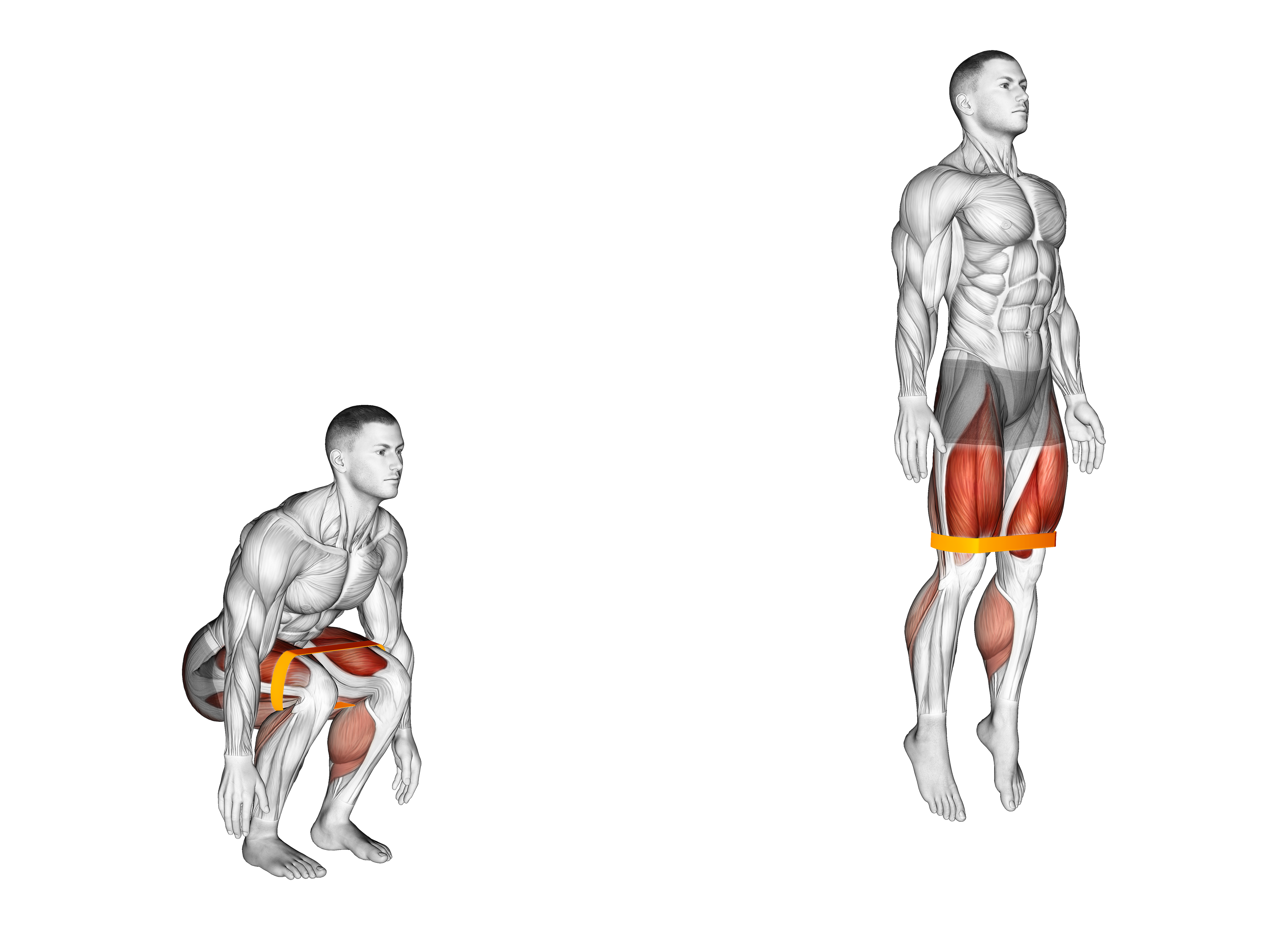Resistance Band Jump Squat