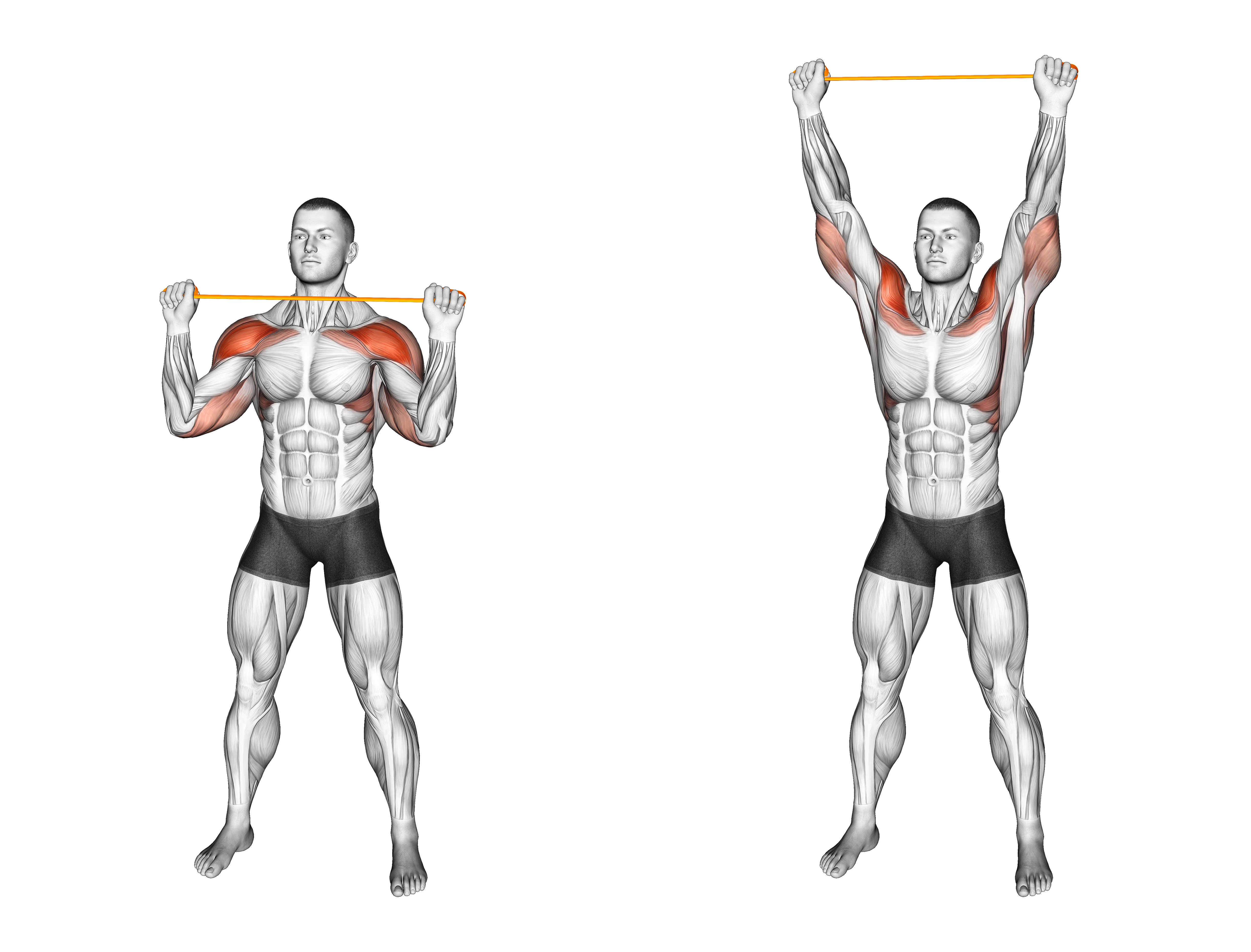 Resistance Band Overhead Shoulder Press (version 2)