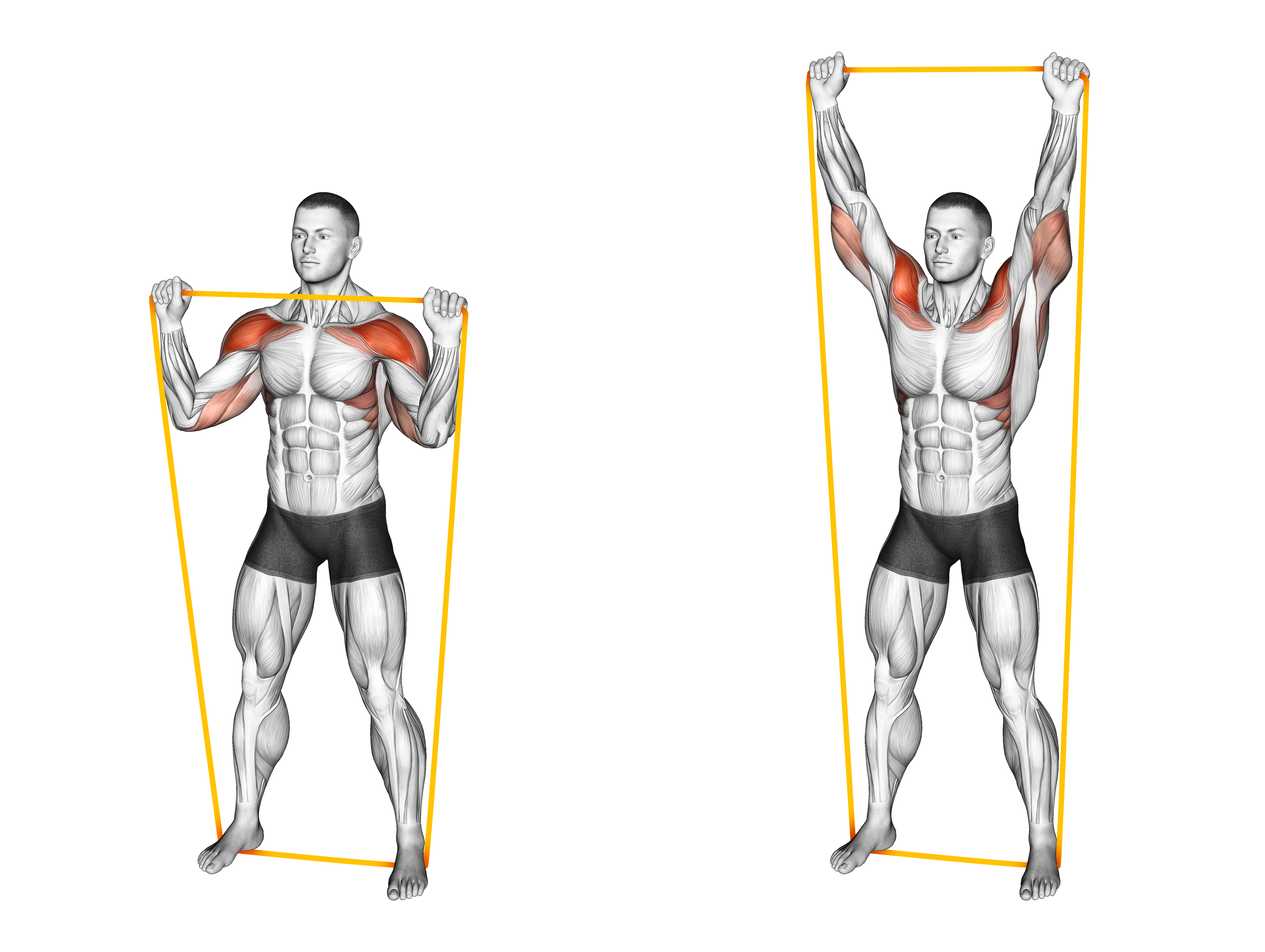 Resistance Band Overhead Shoulder Press