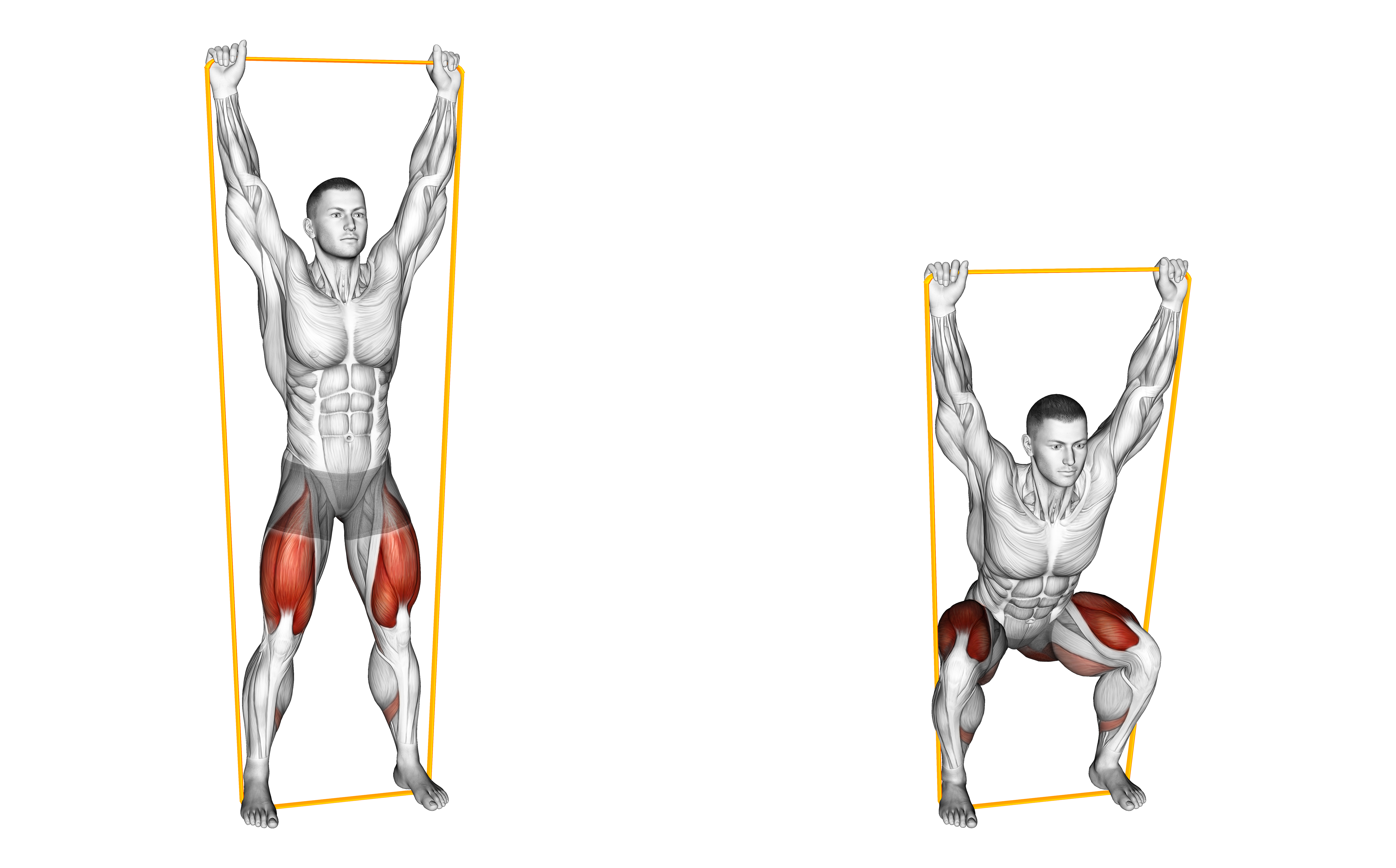 Resistance Band Overhead Squat