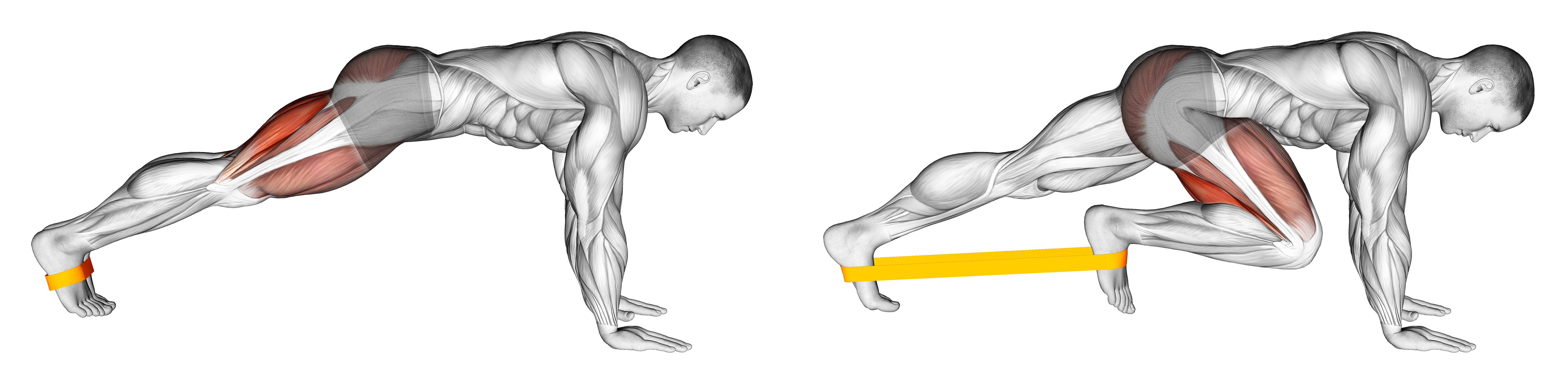 Resistance Band Plank March