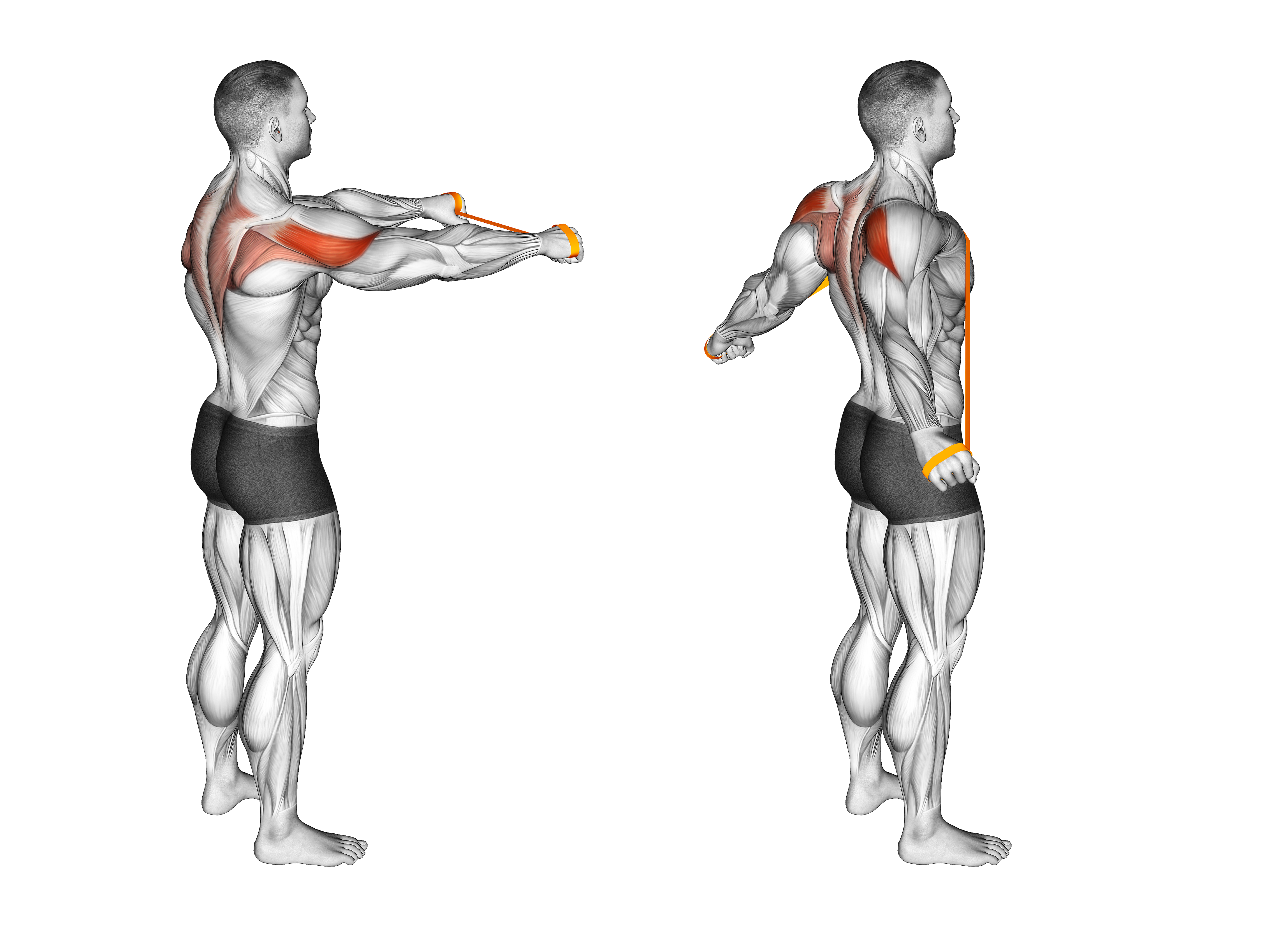 Resistance Band Pull Apart (45 Degrees)